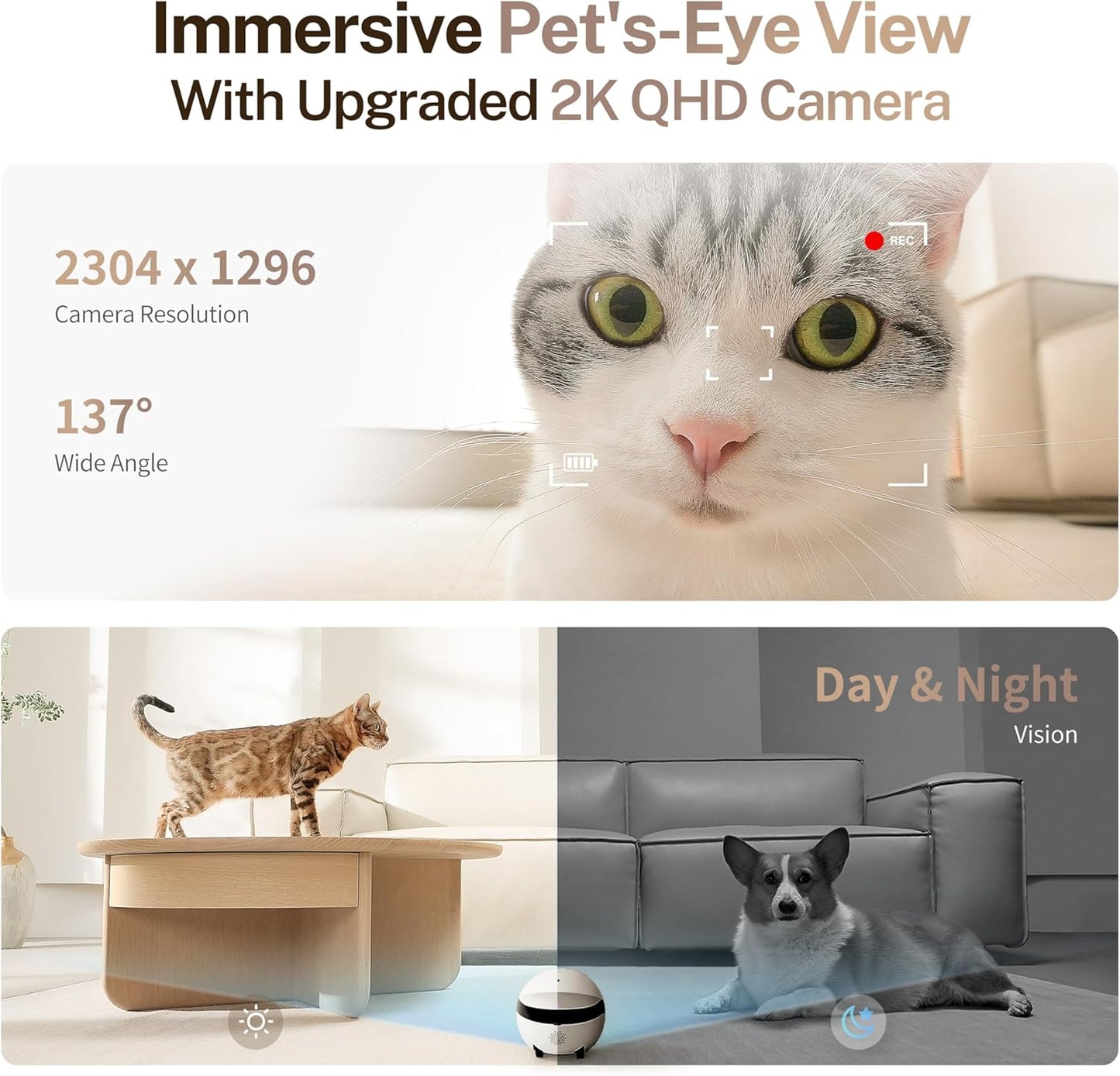 Enabot EBO ROLA Mini FamilyBot 2K Pet Camera Robot: Movable Indoor Camera Battery-Powered with Phone App, One-Touch Call, 2-Way Talk, Night Vision, Motion Detection, Video Recording