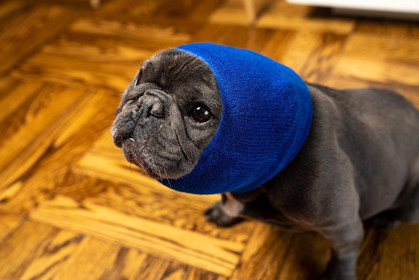 Pet Hoodz for Dogs-Anxiety, Grooming, Ear Muffs, Dog Ear Protection, Calming, Ear Compression, Pet Hoodie, Dog Hoodie Blue