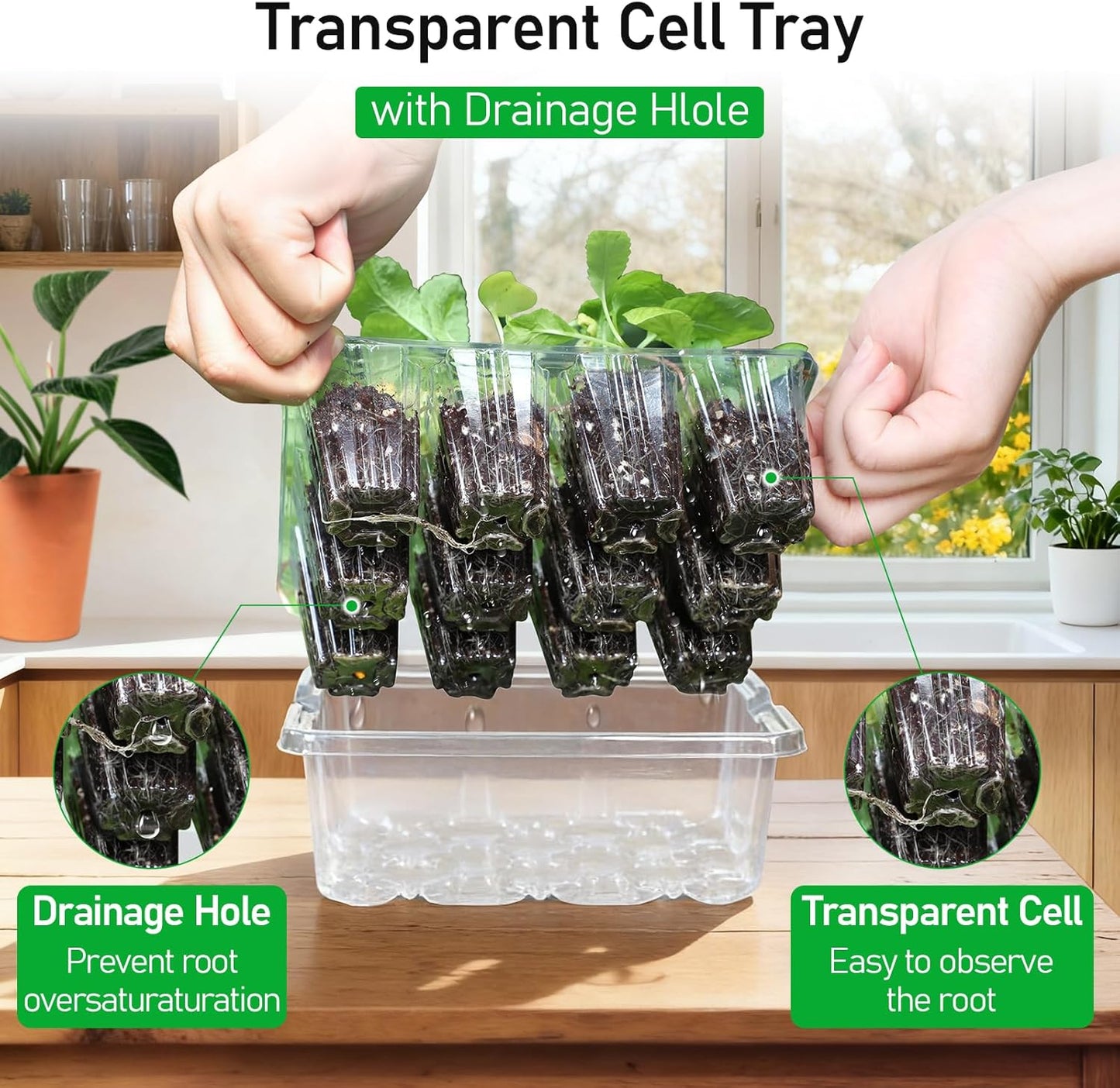 MIXC Seed Starter Tray with Elevated Lid, 120 Cells Seed Starter Kit with Adjustable Humidity Dome, Drainage Hole, Clear Heightened Lids for Indoor Outdoor Greenhouse Gardens, 10 Pack, Transparent