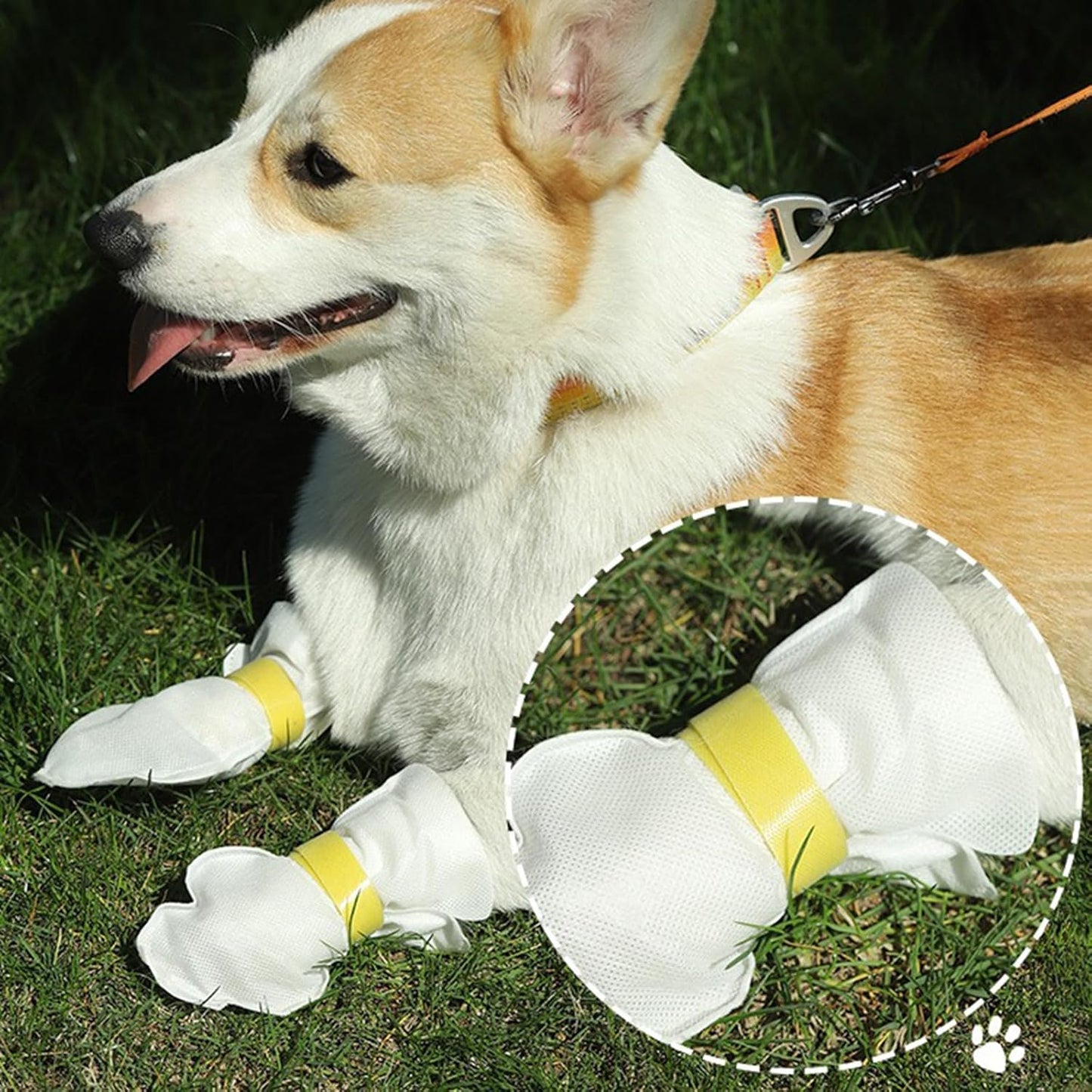 Lightweight Pet Shoes Portable Dog Booties Casual Walking Puppies Booties Shoes Casual Fashion No-Slip Dog Shoes