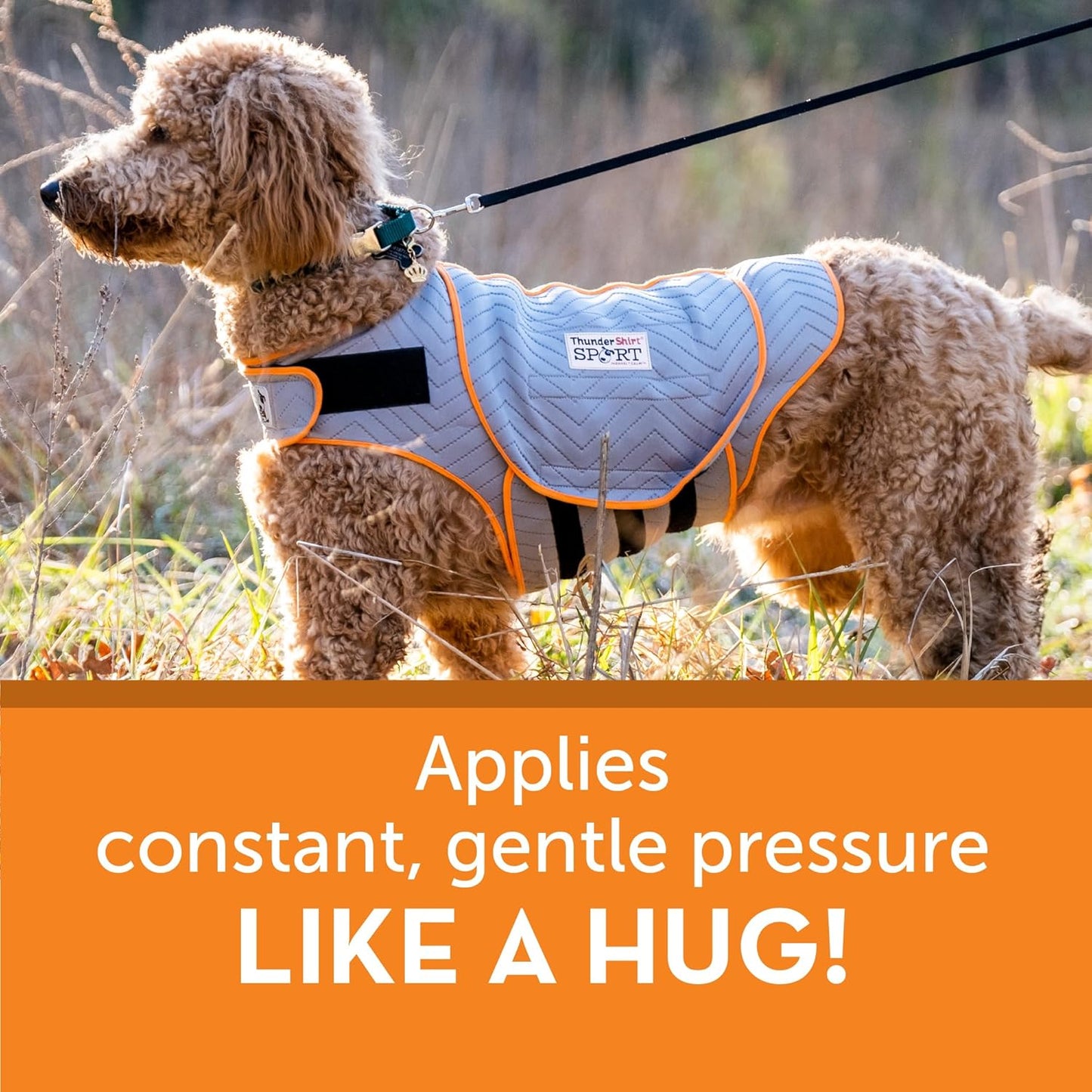 ThunderShirt for Dogs, X Large, Platinum Sport - Dog Anxiety Relief Calming Vest