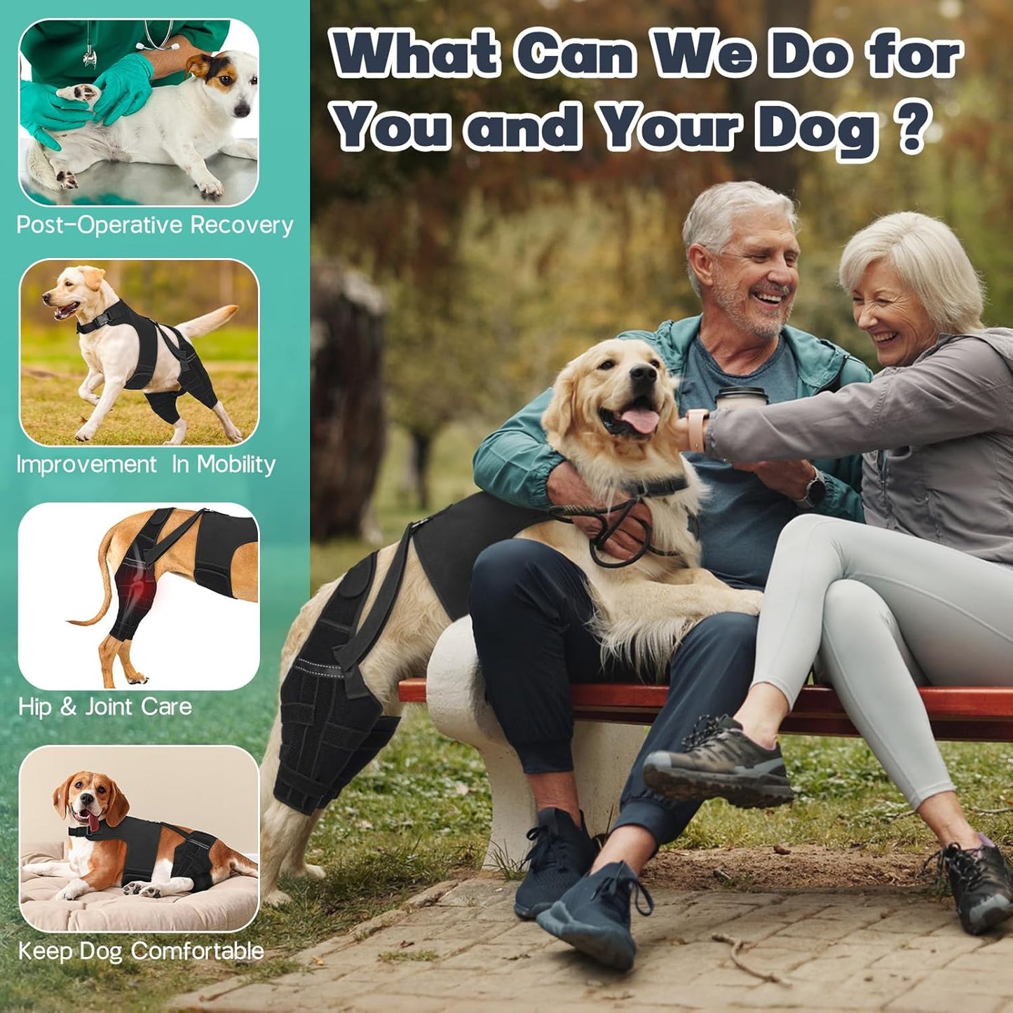 Dog Knee Brace for Torn Acl Hind Leg, Adjustable for Back Leg with 4 Stabilizers, Hip Support to Reduces Pain, Ligament Injuries & Luxating Patella for Small Medium Large Dogs,(Black-S)