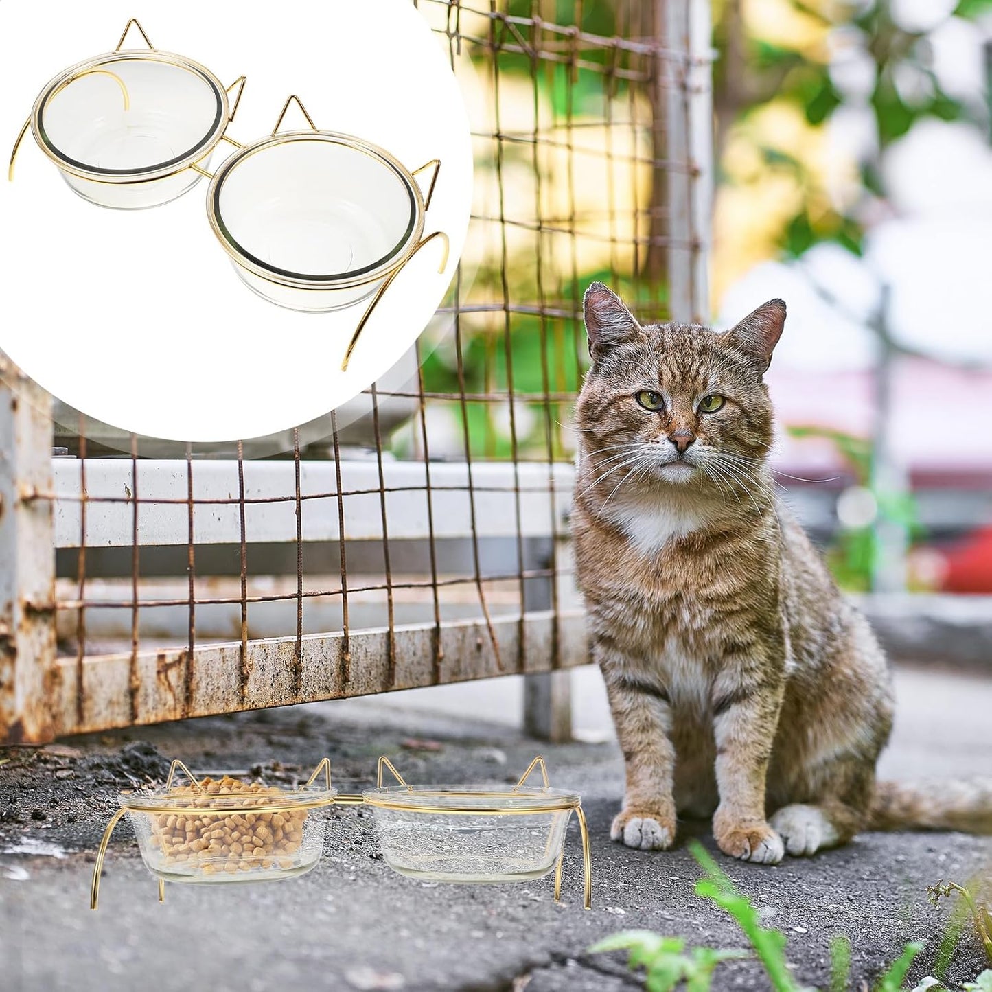 PRETYZOOM Raised Cat Bowls Set with Angled Bowls and Double Iron Stand, High Base Pet Food Feeder and Water Feeder for Cats, Neck Protection Design for Comfortable Feeding