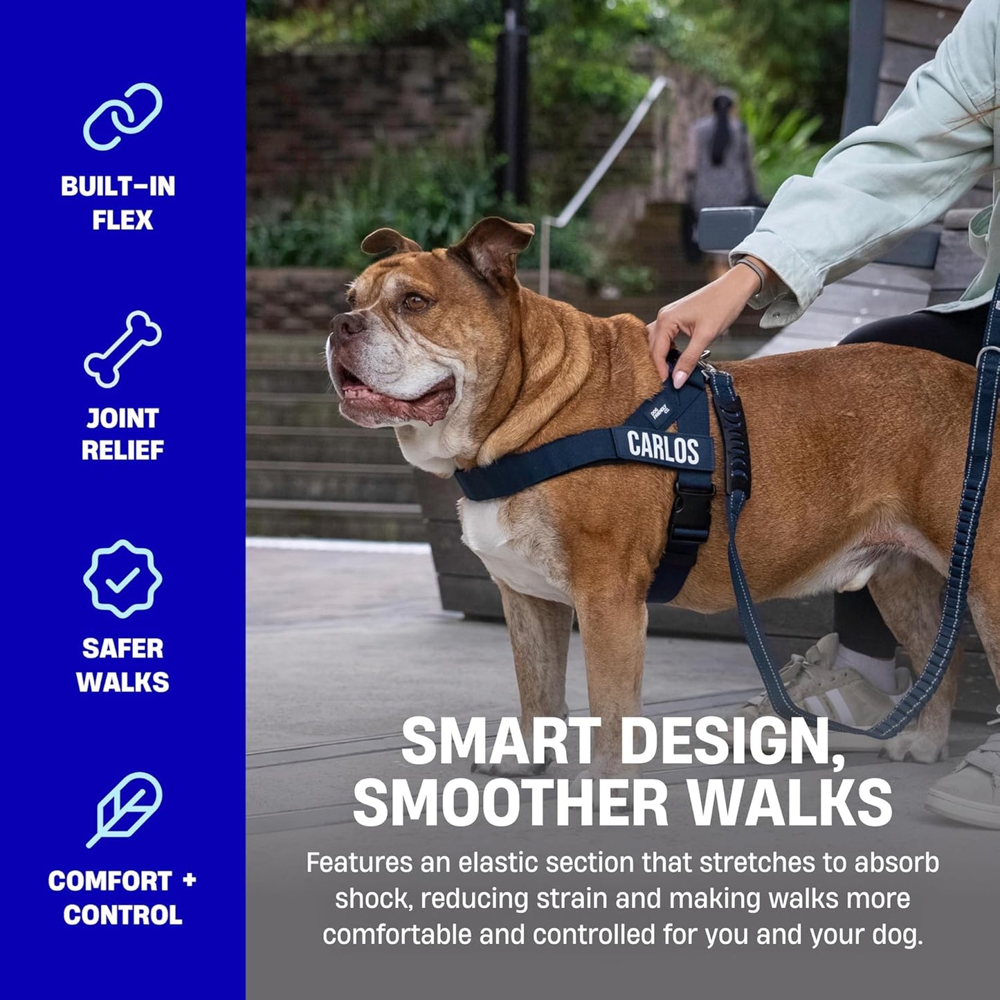 DF Co. Bungee Dog Leash | Strain Free & Shock Resistant for Control | Neoprene Padded Handle, Heavy-Duty Carabiner Clip, and D-Ring | Classic Blue, Size Regular