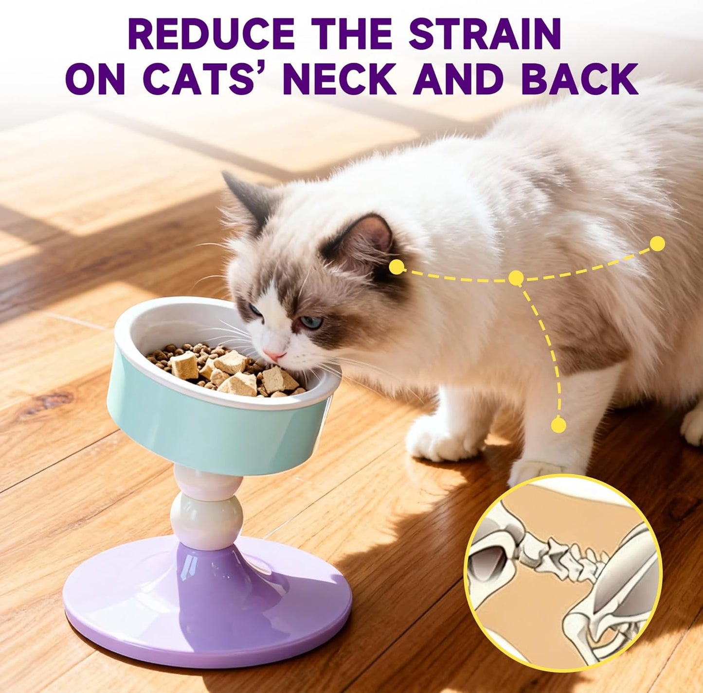 Cat Food and Water Bowls,Raised Cat Bowl,Three Adjustable Height Options, 20° Tiltable, 360° Rotatable, Raised Pet Bowl.Suitable for Small Dogs, Kittens, and Adult Cats.1 Piece, Color: Purple