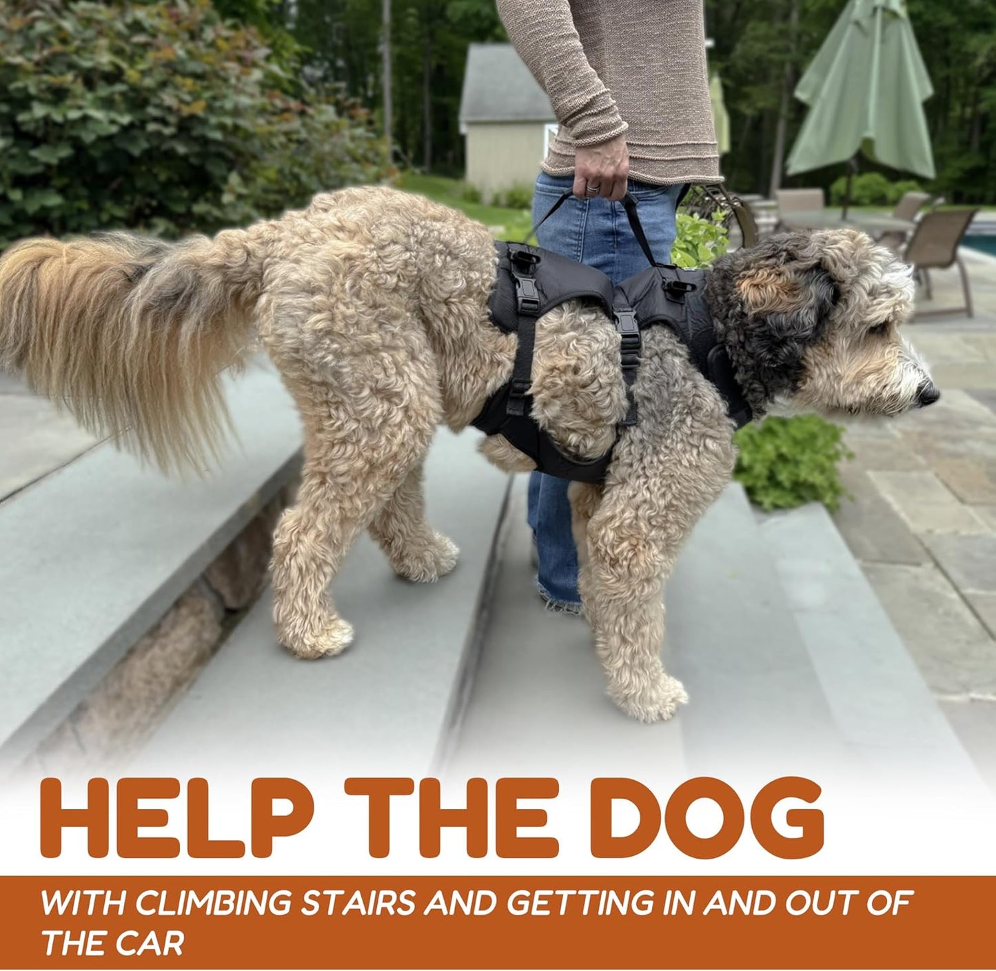 Doggie Stylz Dog Lift Harness for Large Dogs Full Body Support Sling Dog Carrier has Adjustable Handles Recovery Vest for Senior Dogs, Arthritis Joint Injuries, Mobility Aid Back Leg Support (Small)