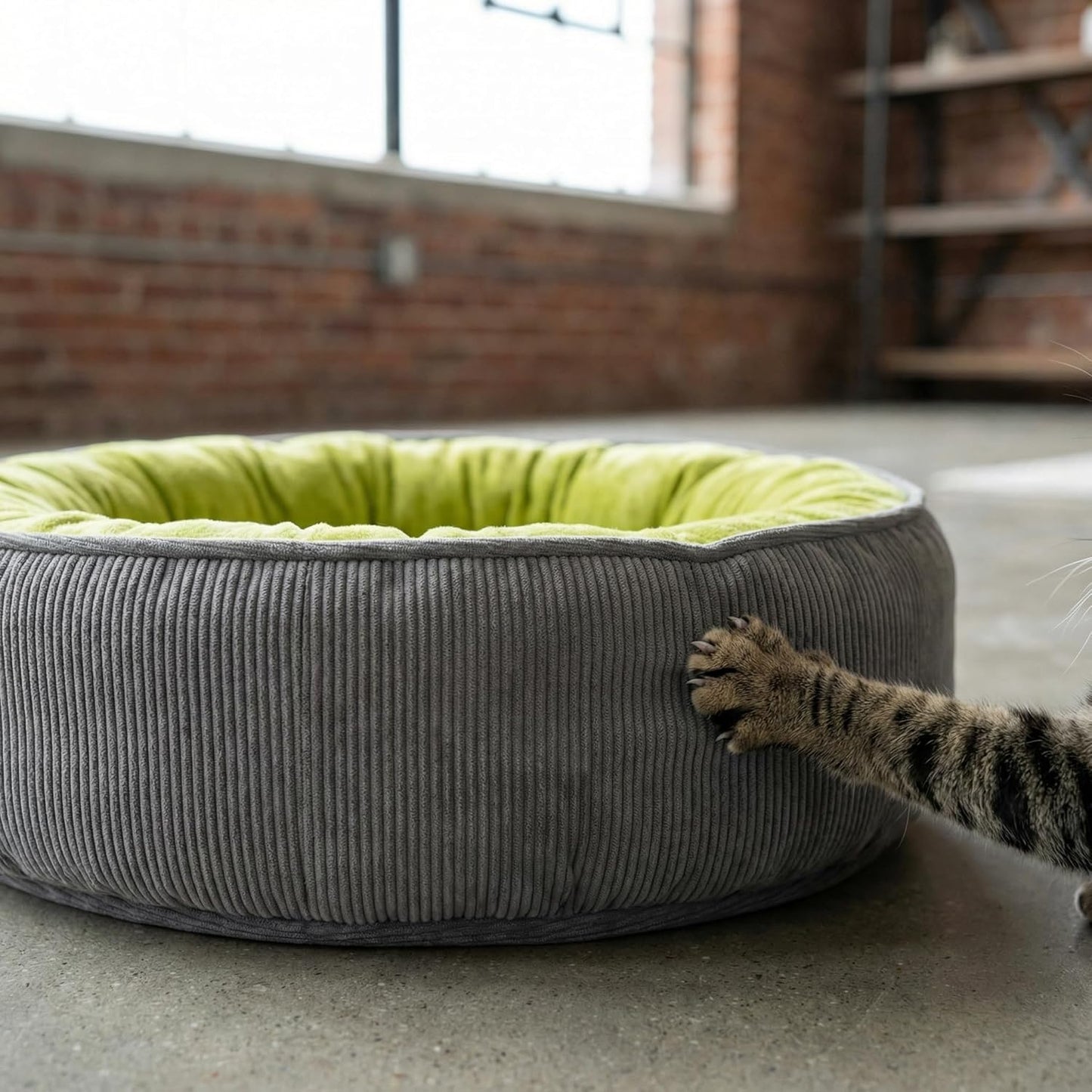 Calming Dog Bed for Small Dogs 16"x20" - Washable Donut Pet Bed with Anti-Slip Bottom, Soft Puppy Bed for Indoor Kittens and Cats with Removable Cover (Lime Green)