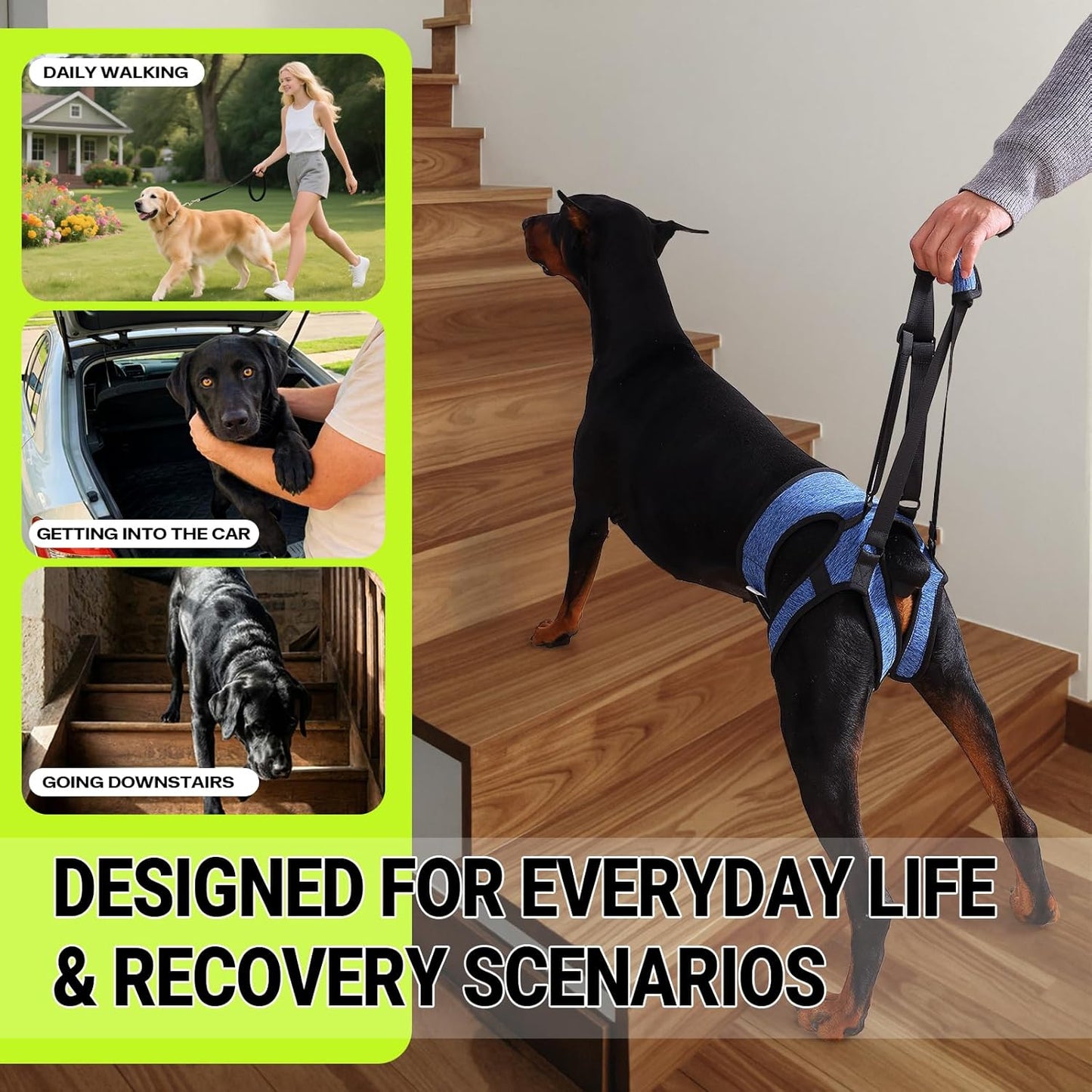 Dog Lift Harness – Adjustable Hind Leg Support Sling for Medium & Large Dogs, Soft Padded Mobility Aid for Senior, Injured & Arthritic Dogs