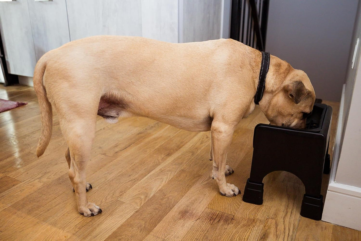 The Fluff Trough Set Elevated Dog Bowl Feeder for Healthy Posture & Digestion, Minimizes Neck Strain, Ideal Flat-Faced Pets, Vet Recommended, Dishwasher Safe, Gray, X-Large (Pack of 1)