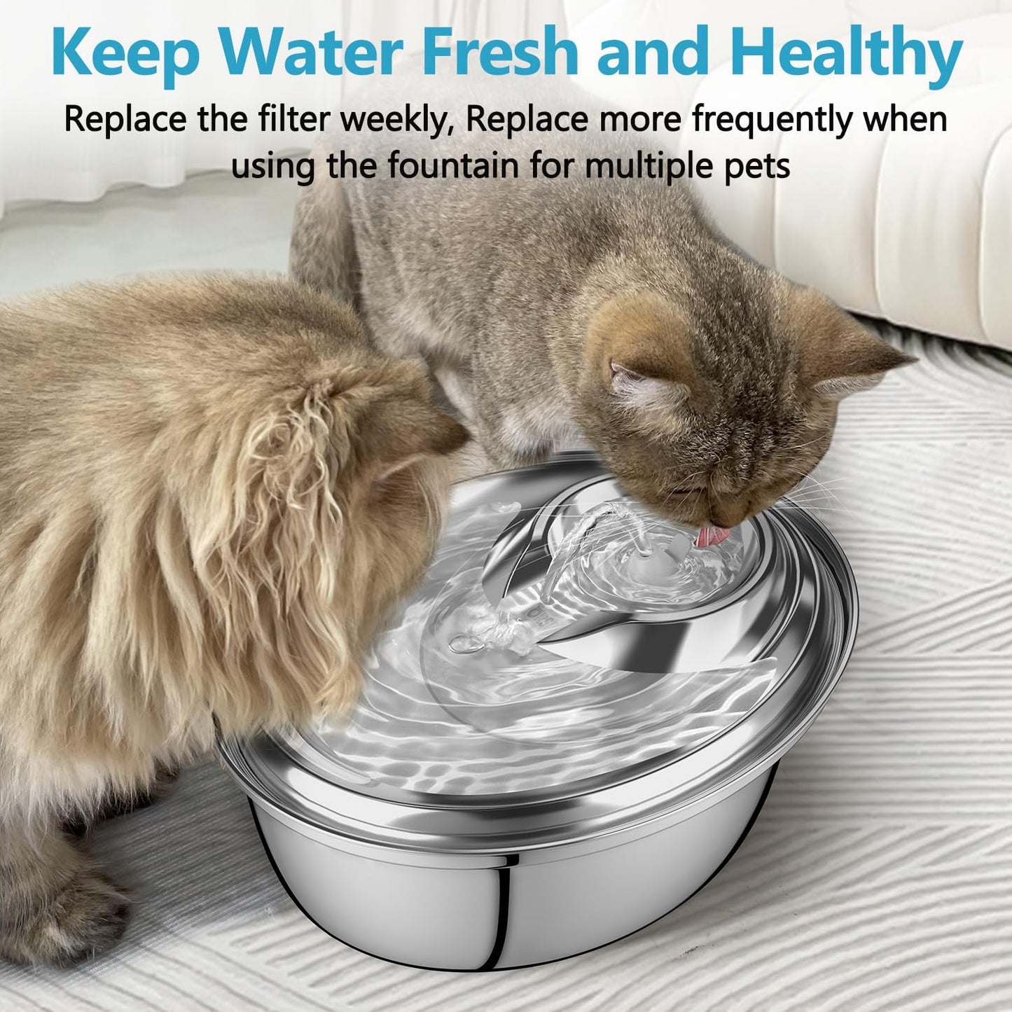 Cat Water Fountain Filters for D60, 12pcs Carbon, Resin Filters Replacements for 100oz/3L Stainless Steel Multi-Pet Dog and Cat Water Fountains