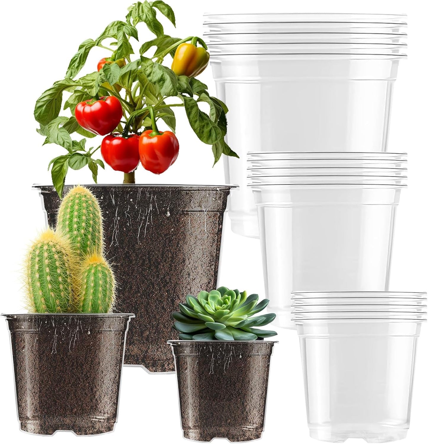 Clear Nursery Pots 5/4/3.5 Inch Plastic Seedling Plant Pot with Drainage Holes for Transplanting Succulents Cuttings (15Pcs)