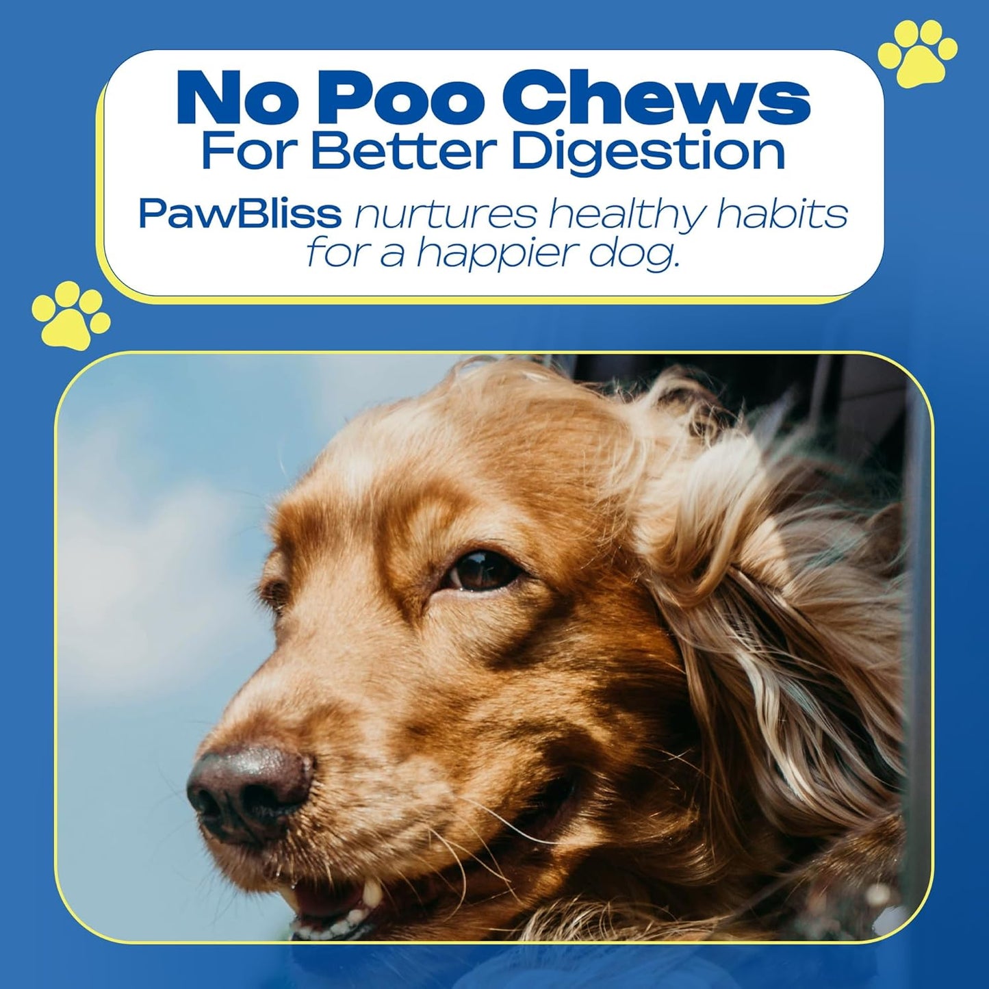 Dog Vitamin Chew (No Poo Chews)