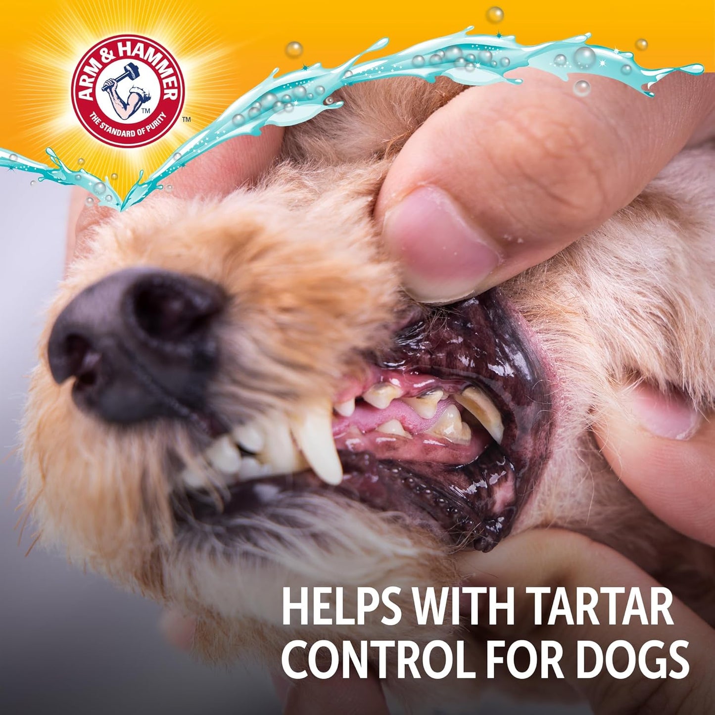 Arm & Hammer Complete Care Dog Dental Spray, Mint Flavor, Easy Brushless Dog Breath Freshener, Baking Soda Enhanced Formula for Fresh Dog Breath, 6oz