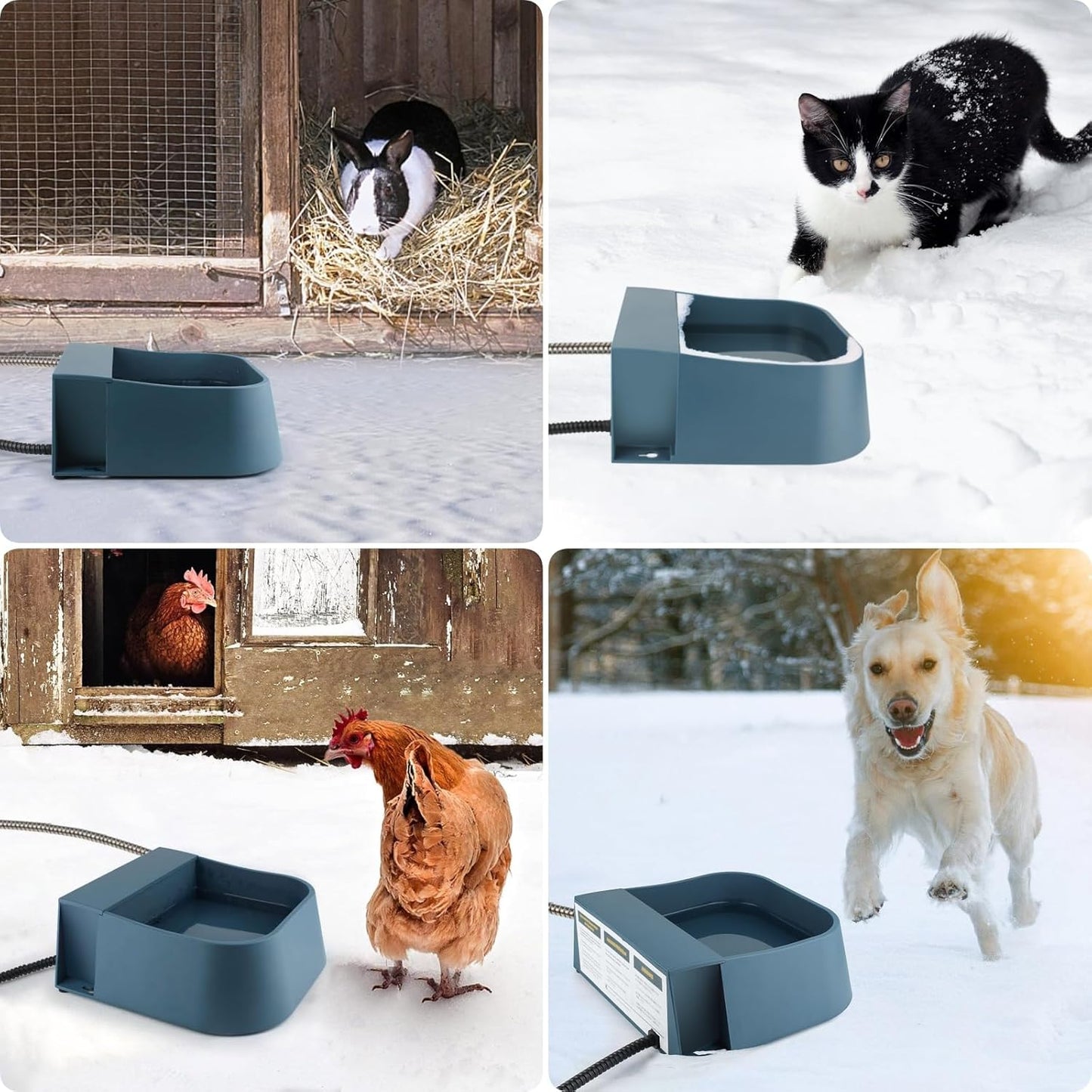 Automatic Heated Water Bowl for Dogs Cats, Self-Filling Water Heated Dog Bowl in Winter, Pet Waterer with Heater Fit Chickens Rabbits Birds, Outdoor Use No Freezing, 2L
