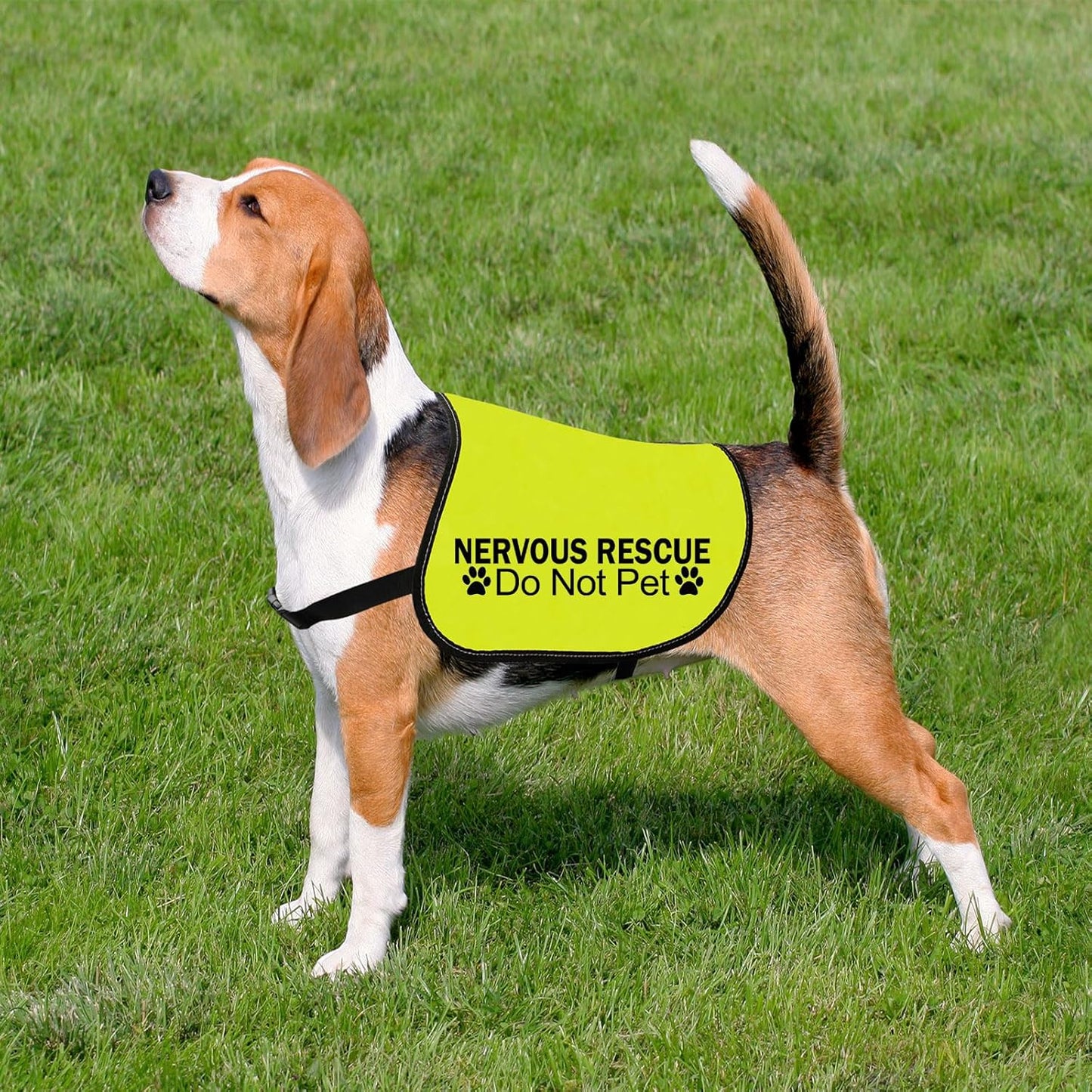 CENWA Nervous Ask to Pet/Do Not Approach Jacket - Space Dog Walking Slogan Warning Vest (Nervous Rescue Pet L)