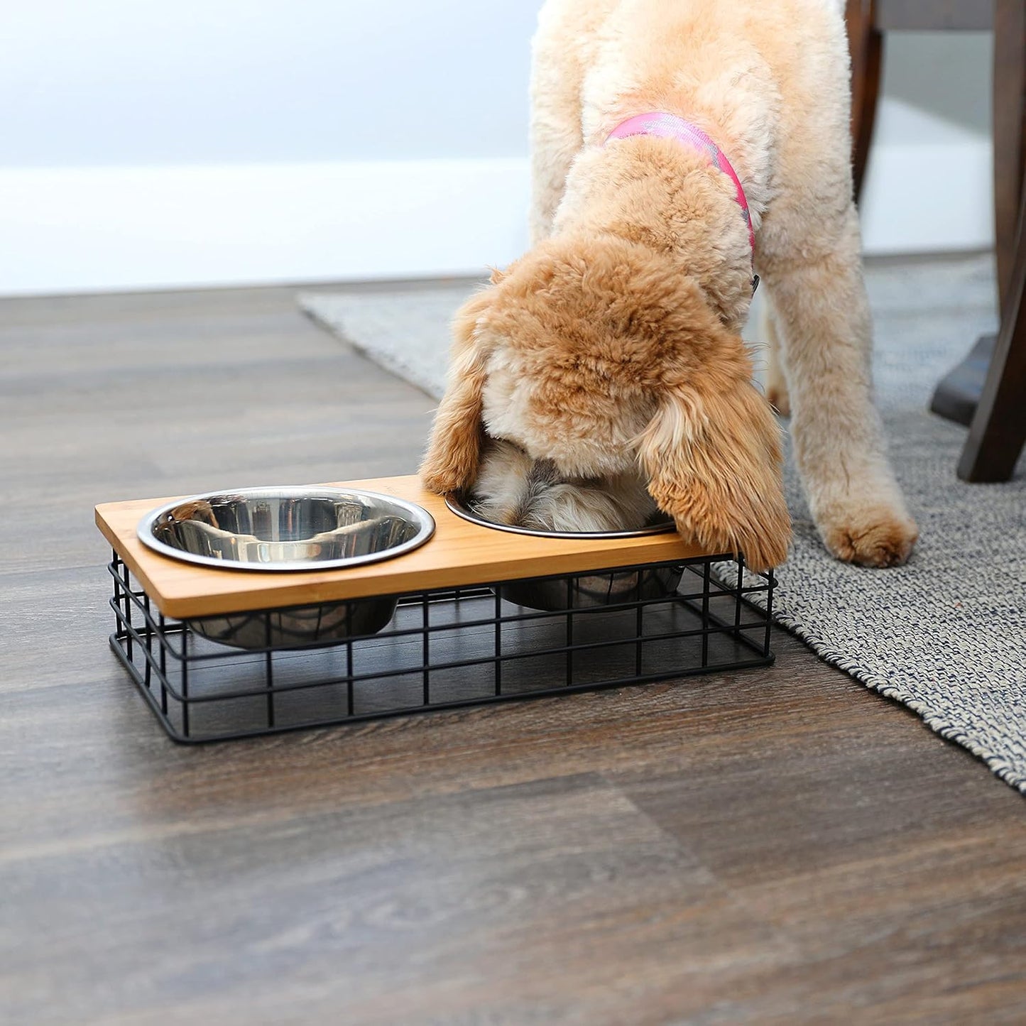 Barkley & Evans Elevated Double Pet Feeder, Removable Stainless Steel Bowls on Metal Stand, Raised Feeding Station for Pets, Dogs & Cats, Wet or Dry Food and Water - 1 Quart Bowls (32 fl. oz)