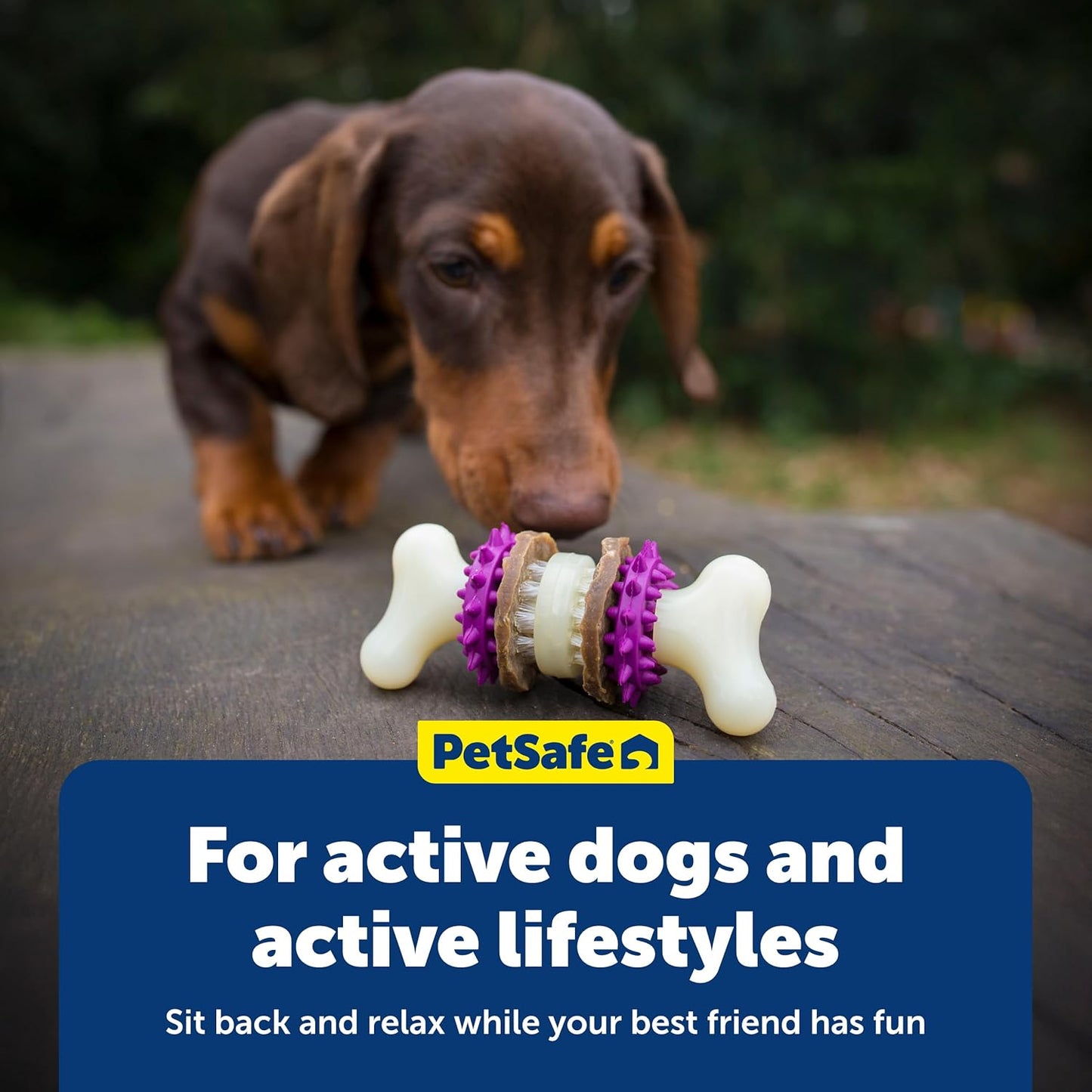 PetSafe Busy Buddy Bristle Bone - Chew Toy for Dogs - Boredom Relief & Dental Care - Durable Nylon Build with Rubber Nubs - Includes Treat Ring Refills - Dishwasher Safe Design