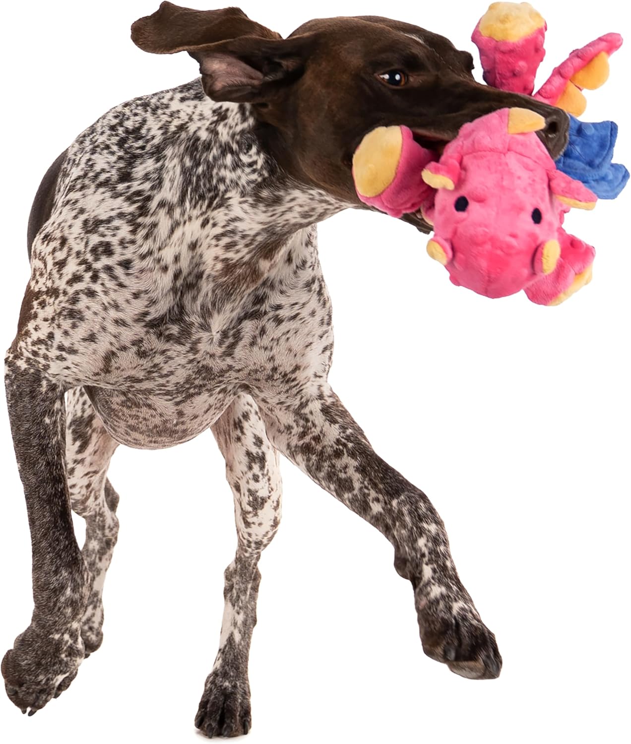 goDog Bubble Plush Dragons Squeaky Dog Toy, Chew Guard Technology - Coral, Large
