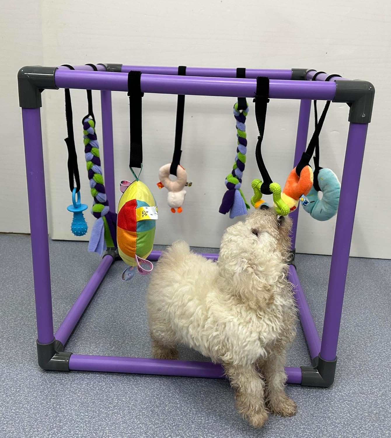 Puppy Play Gym for Small Dogs with 8 Hanging Toys, Jungle Playground with Interactive Funny Enrichment Toys to Keep Them Busy