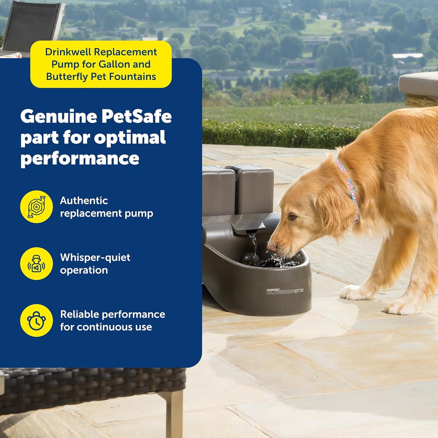 PetSafe Drinkwell Replacement Pump - Reliable OEM Replacement - Drinkwell Pump Accessory - Includes Power Adaptor - Silent Operation for a Calm Pet Environment - Easy to Clean
