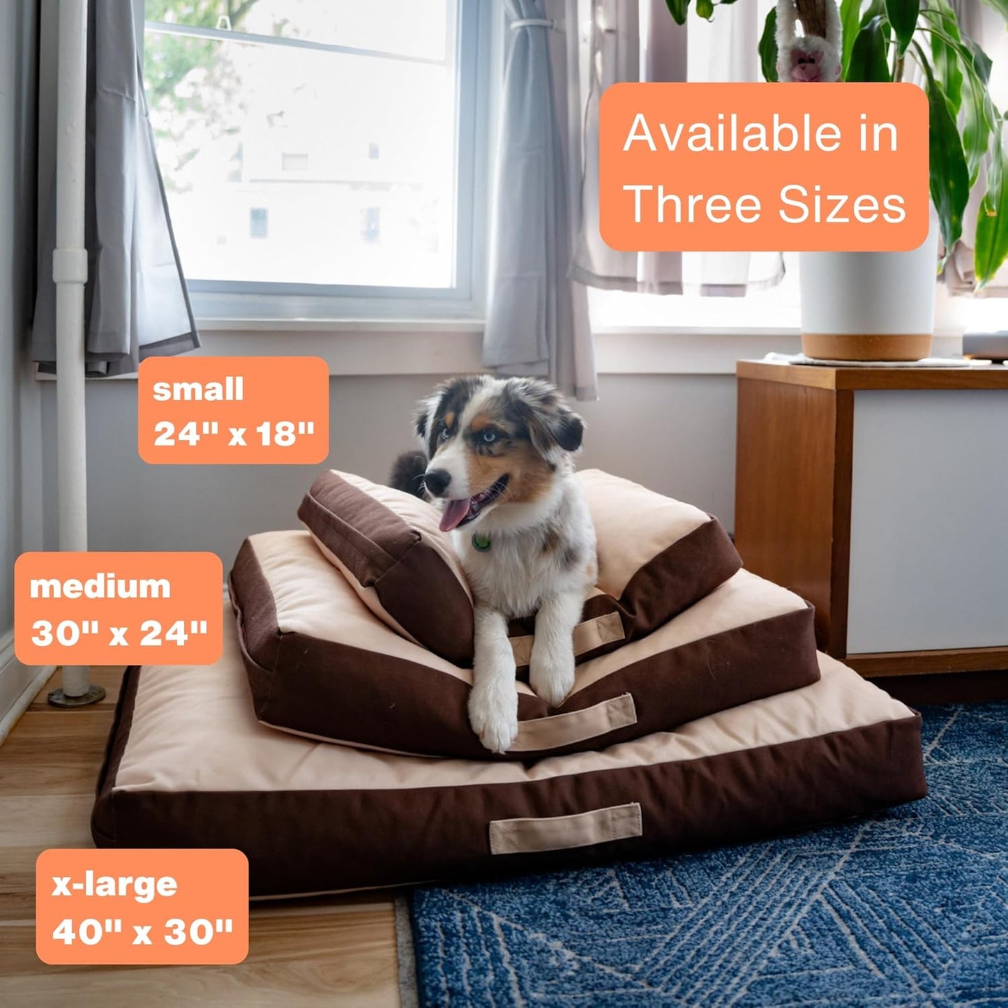 Rawry Orthopedic Dog Bed | Memory Foam Dog Bed with Handle | Water-Resistant, Machine Washable Cover | Floor Cushion for Cats, Dogs & People - Tan/Brown (Small - 24" x 18")