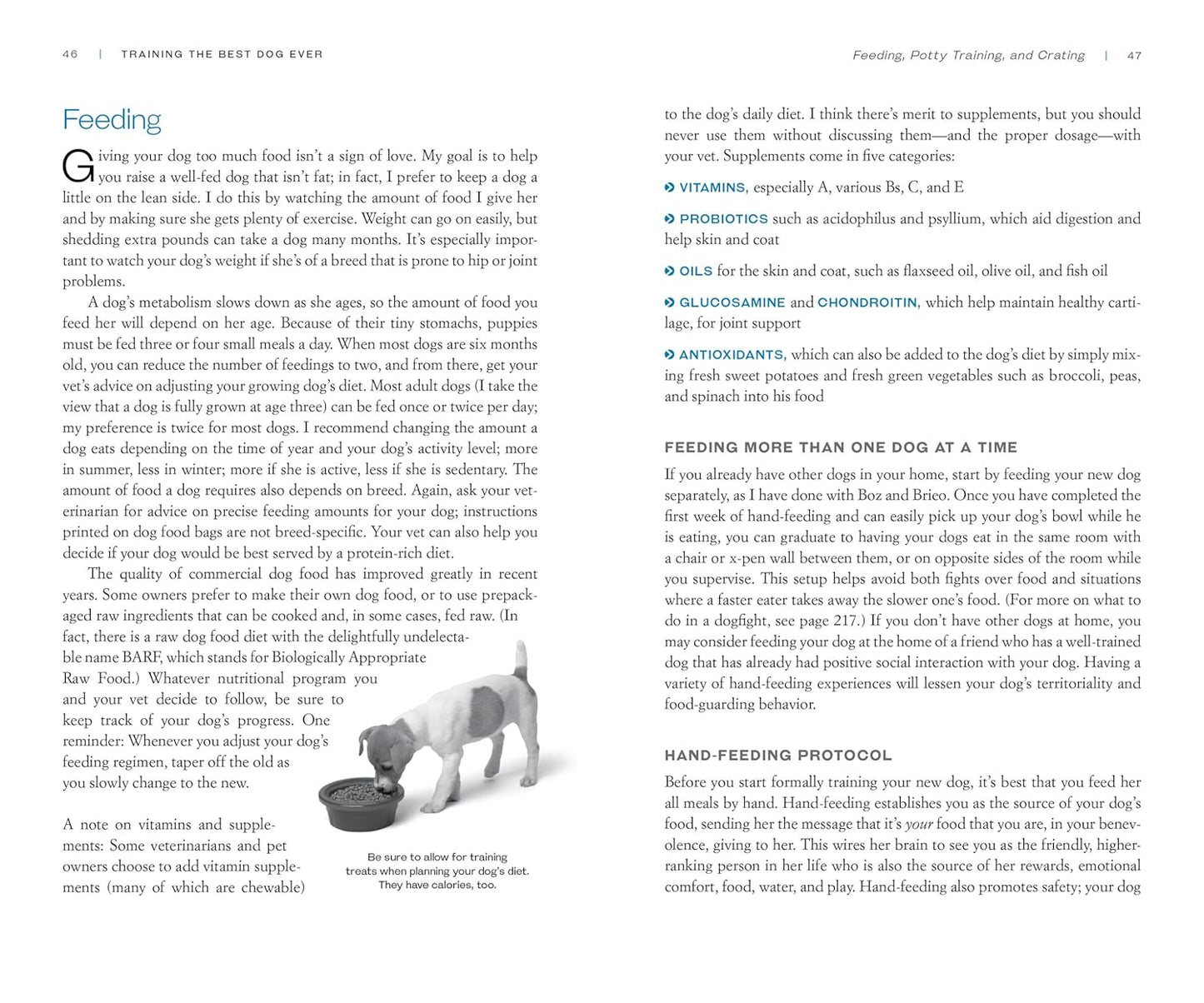 Training the Best Dog Ever: A 5-Week Program Using the Power of Positive Reinforcement