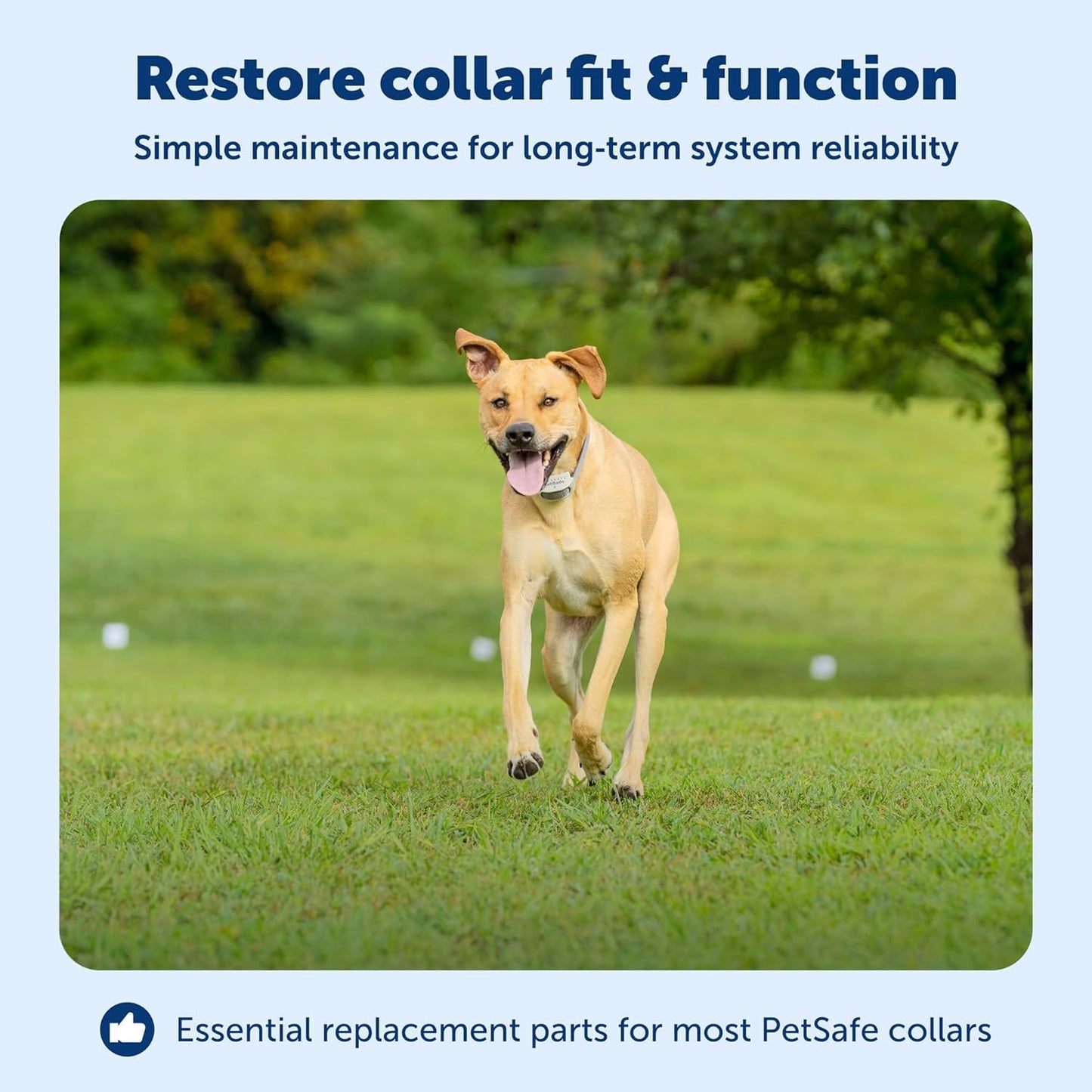 PetSafe Accessory Kit for Fencing Receiver Collars - Replacement Components for In-Ground & Wireless Dog Receiver Collars - Includes Contact Points, Clear Caps, Screws & Washers