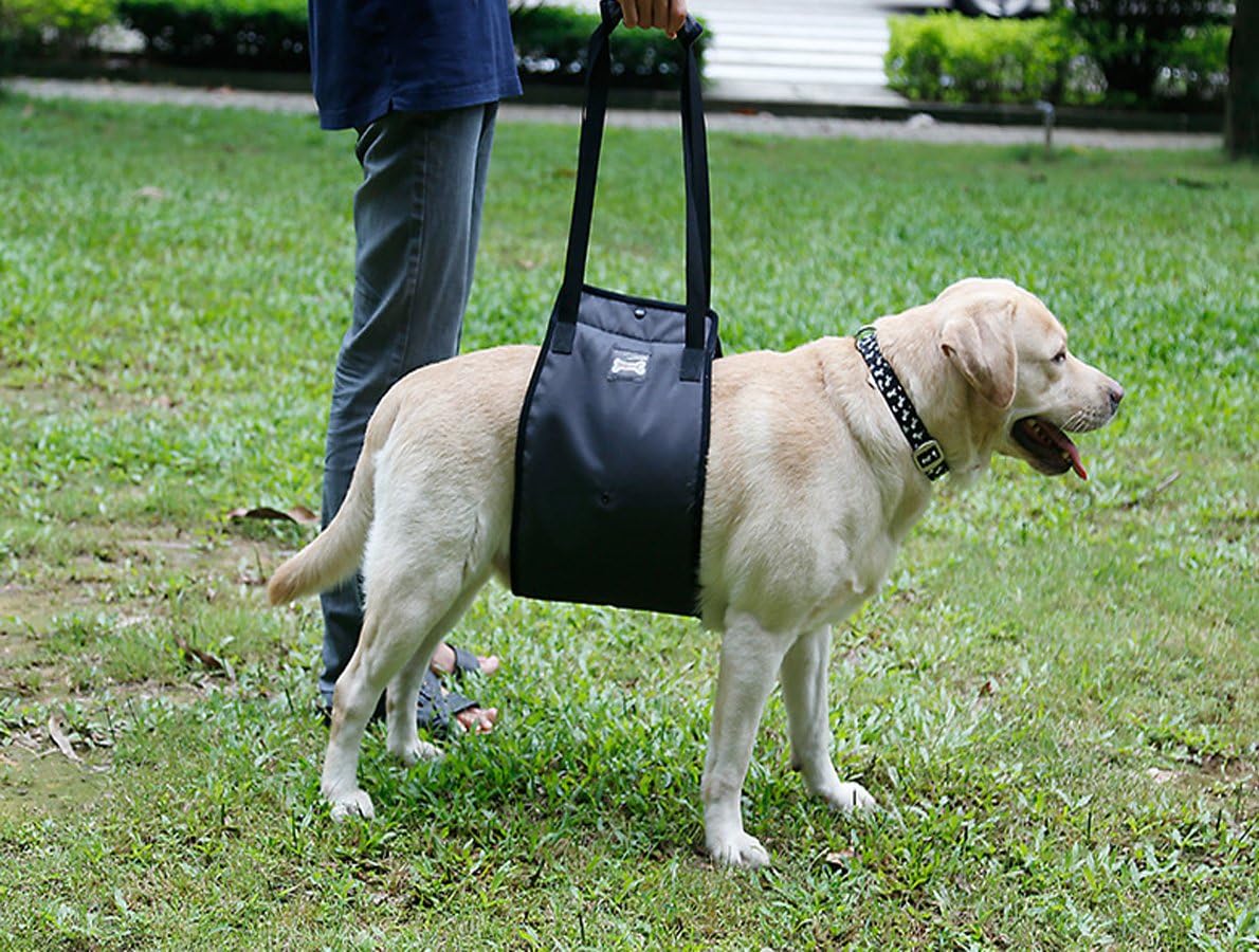 Dog Lift Support Harness With Handle for Older or Injured Canines - Adjustable Strap for Weak Hind Legs - Mobility Aid Back Sling