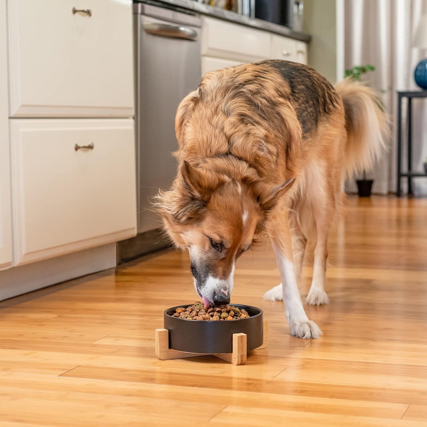 NAT & Jules Large Black 8 inch Stoneware Ceramic and Wood Pet Bowl with Stand