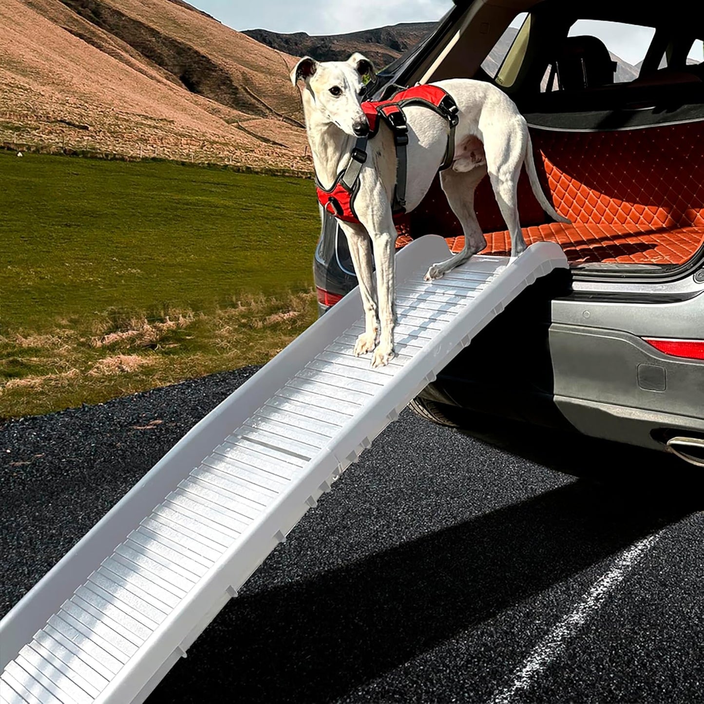 Folding Pet Ramp, 61 Inch, Portable Lightweight Dog or Cat Ramp, Great Traction, Suitable for All Cars, Max Load 165 Pound Capacity to accommodate Large Dogs, Color, Grey