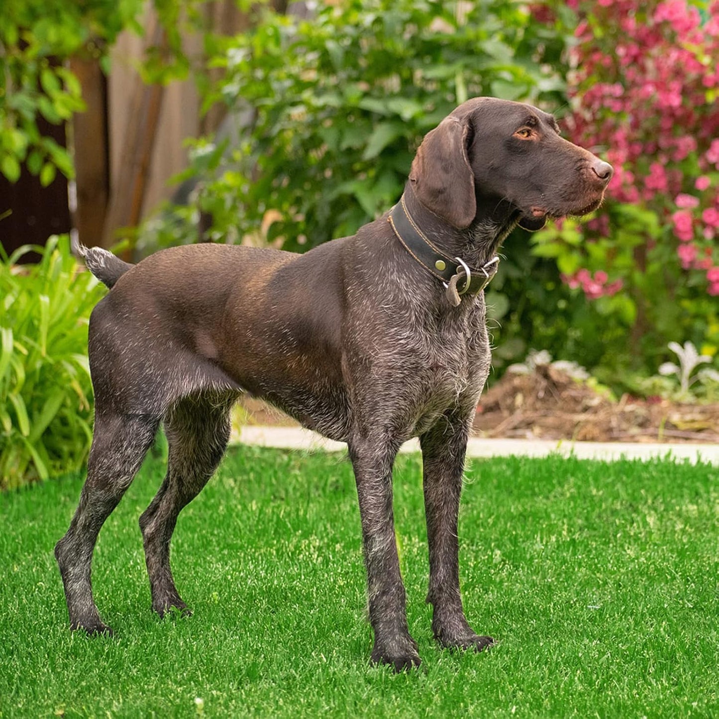 Artificial Grass Fake Grass Lawn Turf 3 ft x 5 ft, Realistic Synthetic Pet Turf Garden Landscape, Indoor/Outdoor Rugs with Drain Holes, Dogs Pee Pads Area, Customized Available