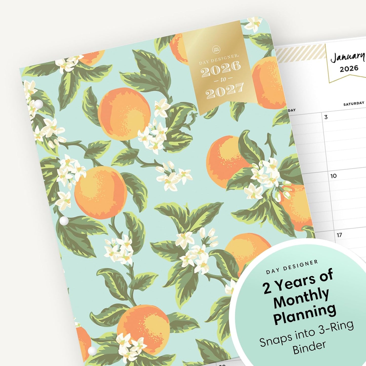 Blue Sky Day Designer 24 Month 2026 Monthly Planner Calendar, January 2026 - December 2027, 8.5" x 11", Flexible Cover, Stapled Binding, Orange Blossom Mint