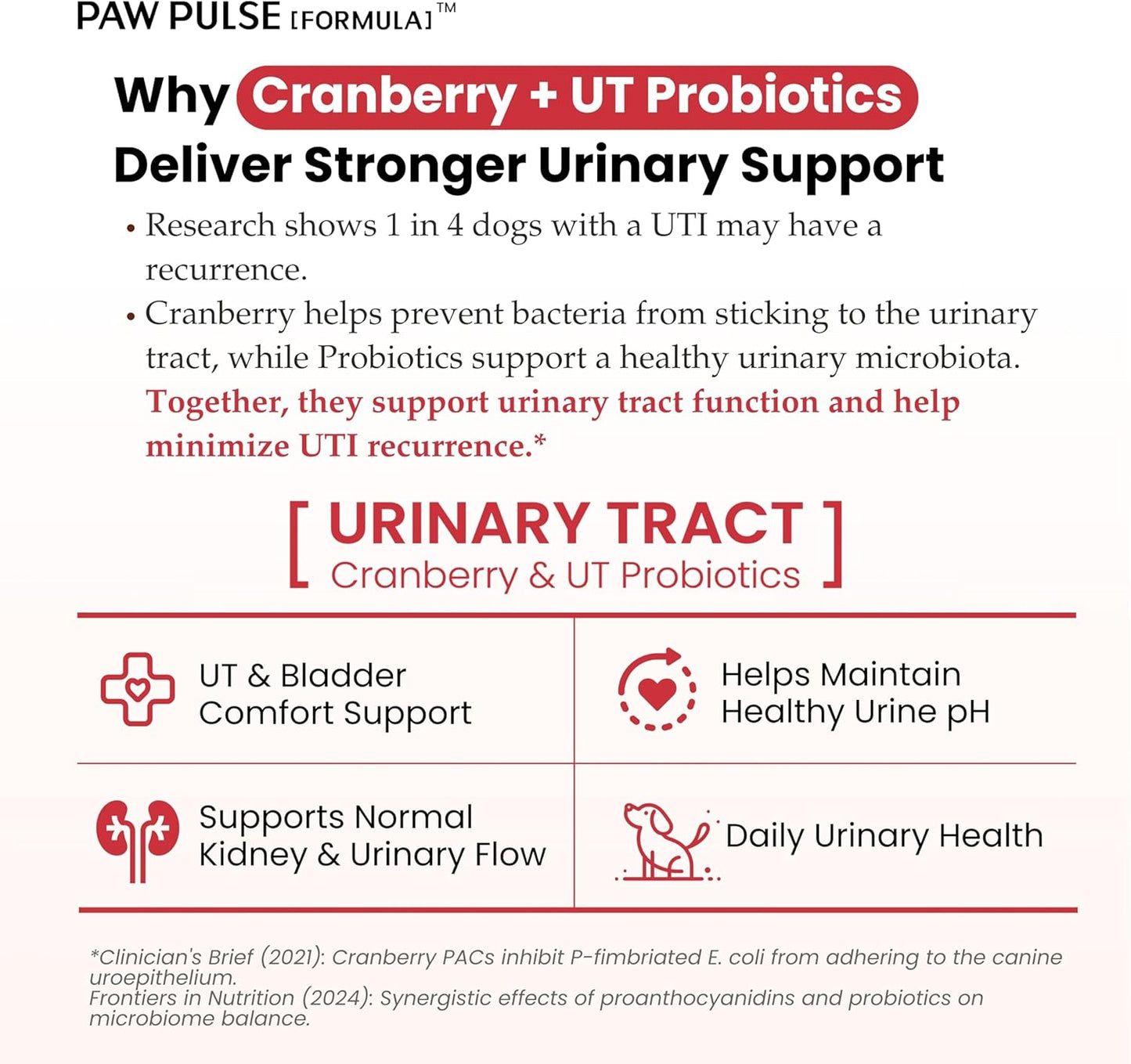 Pawpulse Formula Cranberry for Dogs, Urinary Tract Support for UTI Health, Bladder Stones, Incontinence, Urine Flow, Probiotics for Gut & Immune, 90 Chews