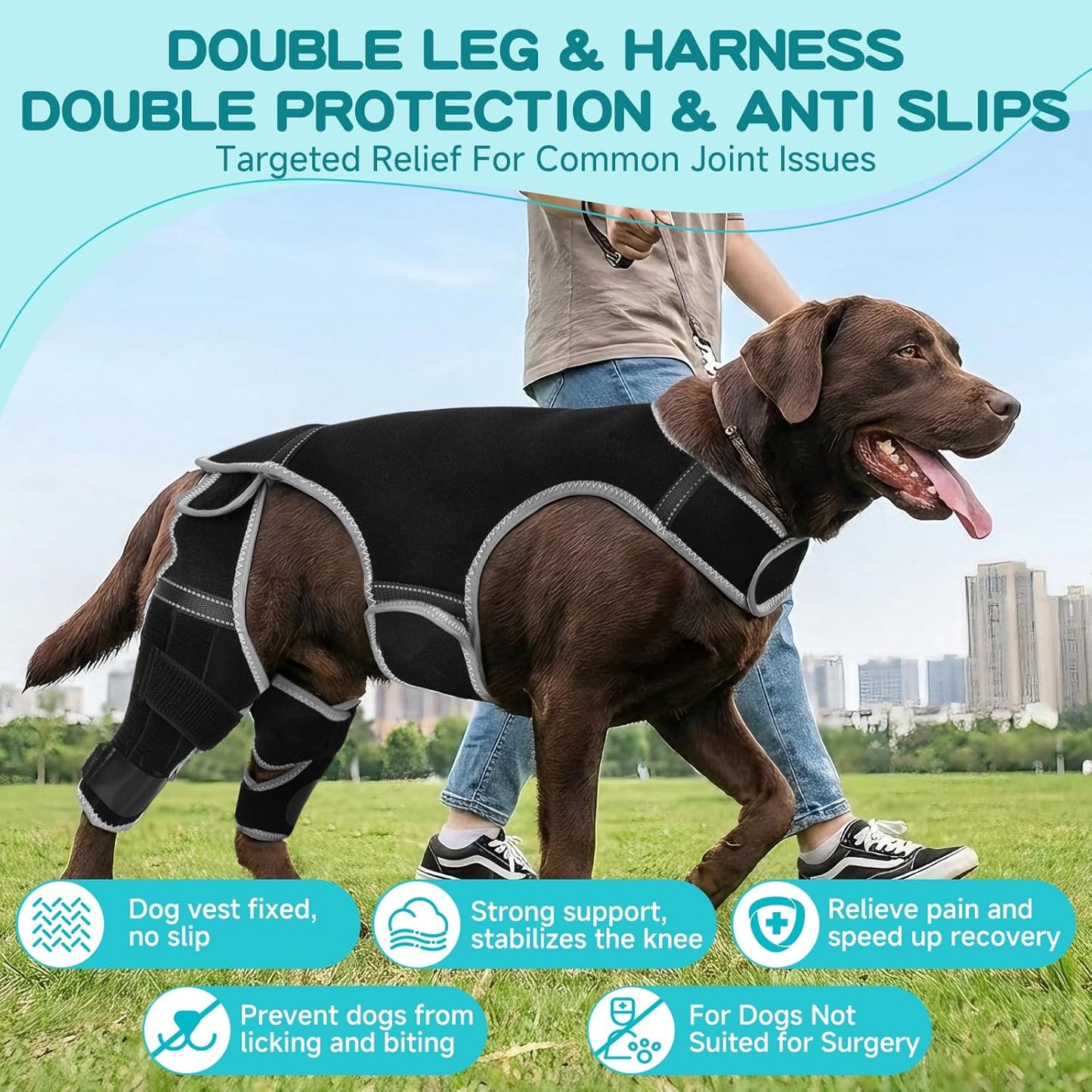 Dog Leg Braces for Torn ACL Hind Leg, Adjustable Dog Knee Brace with 4 Stabilizers, for Dogs with Torn ACL/CCL, Luxating Patella, Ligament Issues & Hip Dysplasia, Small to Large Dogs (M)