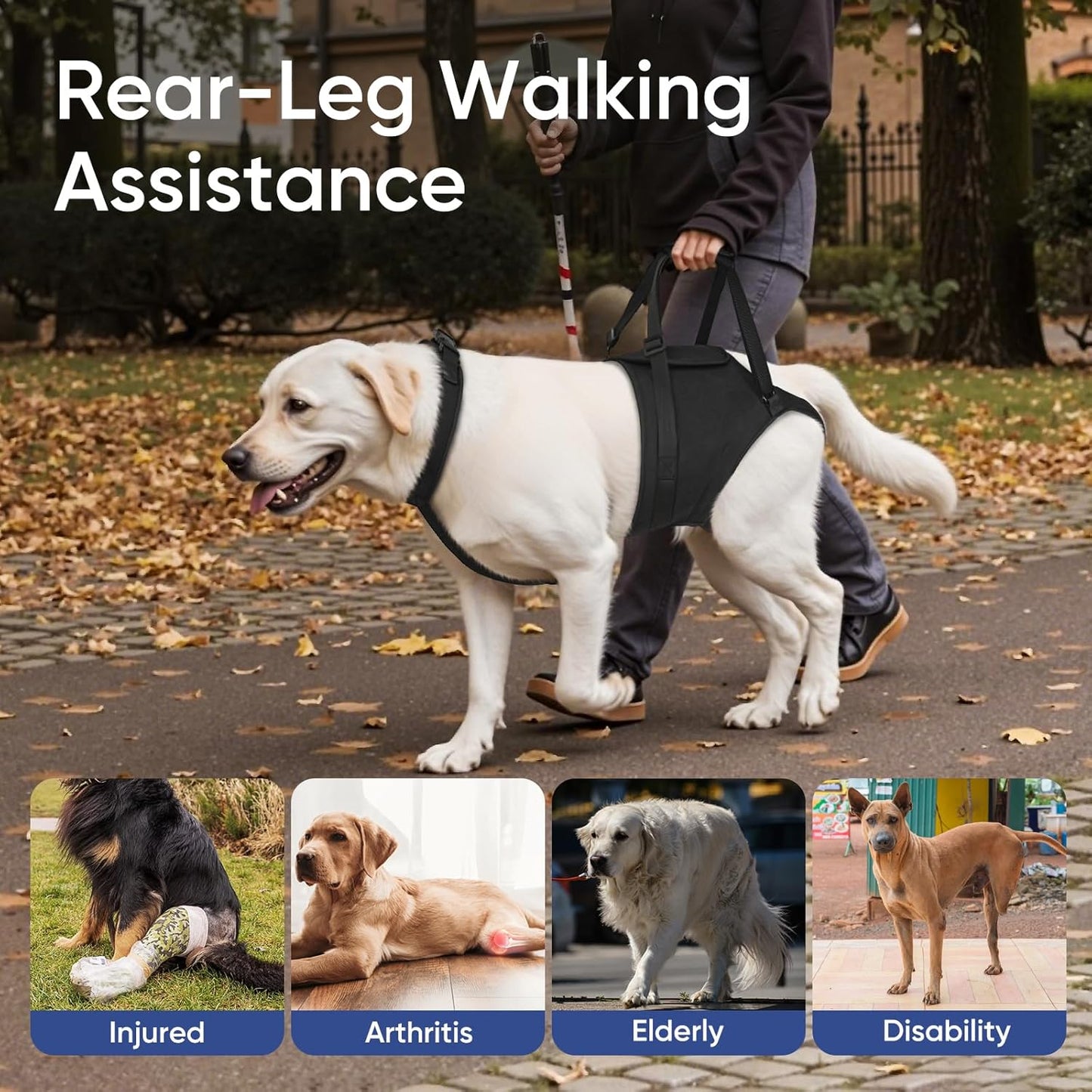 Supet Dog Sling for Large Dogs Hind Leg Support, Senior Dogs Lift Assist Harness for Weak Back Leg Support, Help Large Breed Rear Leg Up Harness, Mobility Aids for Elderly, Injured, Paralyzed Dog, M