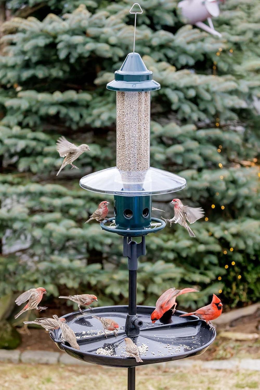 Squirrel Buster Plus Squirrel-proof Bird Feeder w/Cardinal Ring and 6 Feeding Ports, 5.1-pound Seed Capacity, Adjustable, Pole-mountable (POLE ADAPTOR SOLD SEPARATELY), Green
