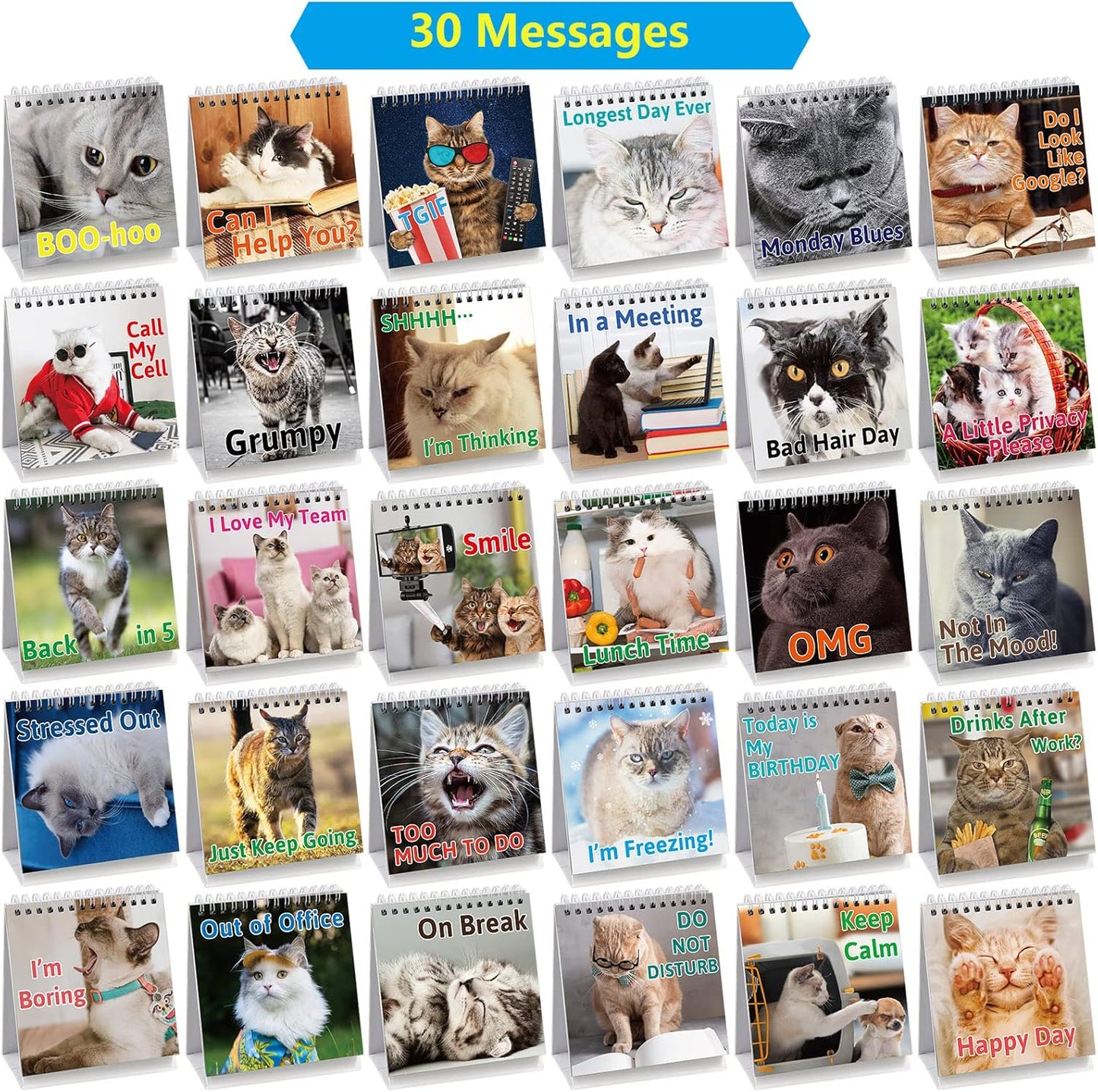 Fancy Land Funny Desk Signs for Kitten Lovers 30 Different Fun and Flip-Over Messages for Office Desk Accessories