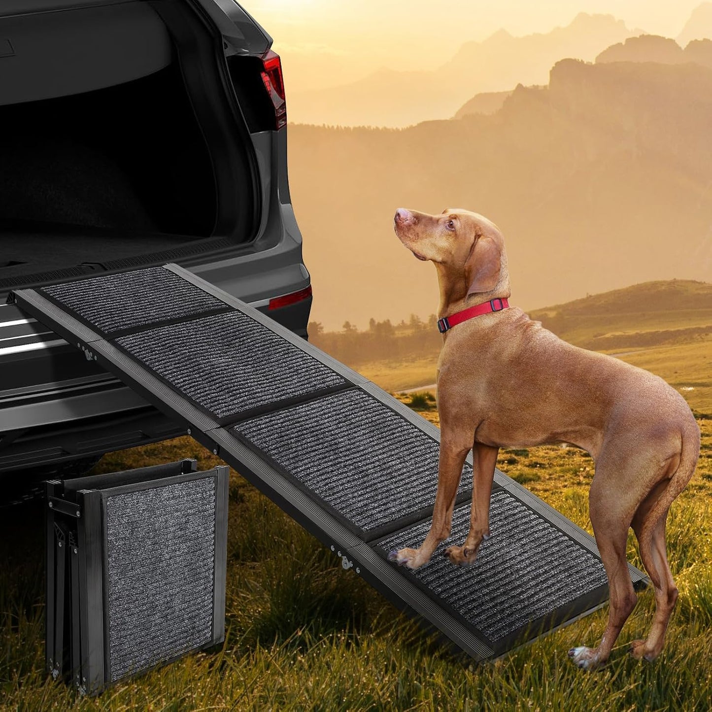 Dollate 63" Long Dog Ramp for Car,17" Wide Foldable Dog Ramps for Large Pet with Non-Slip Rug Surface,Up to 250 LBS for Car, SUV & Truck-L