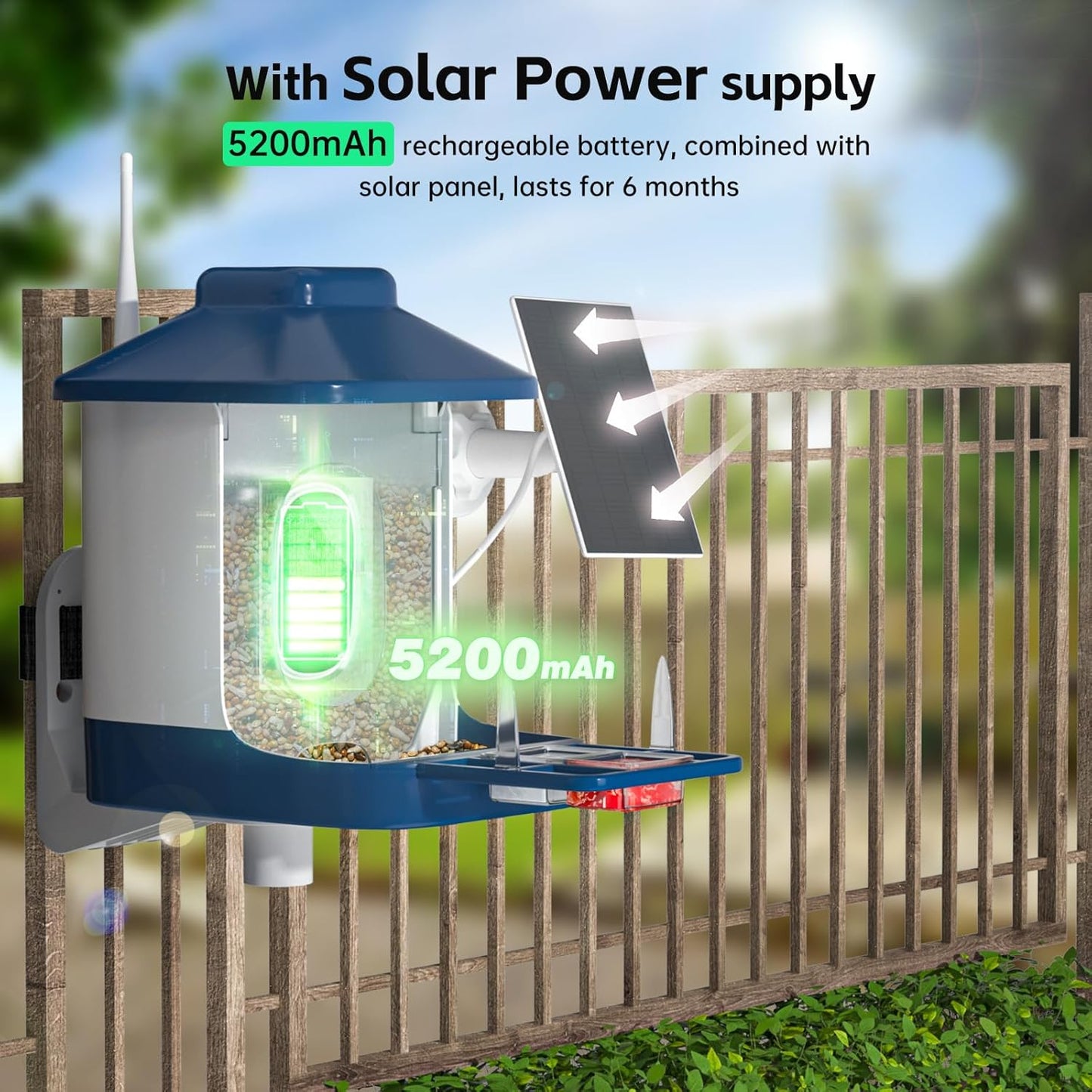 Bird Feeder with Camera, AI Bird Identification, Full HD Live Video, Solar Powered, 2.4Ghz WiFi, Instant Arrival Alerts - Best Gifts for Bi rd Lover