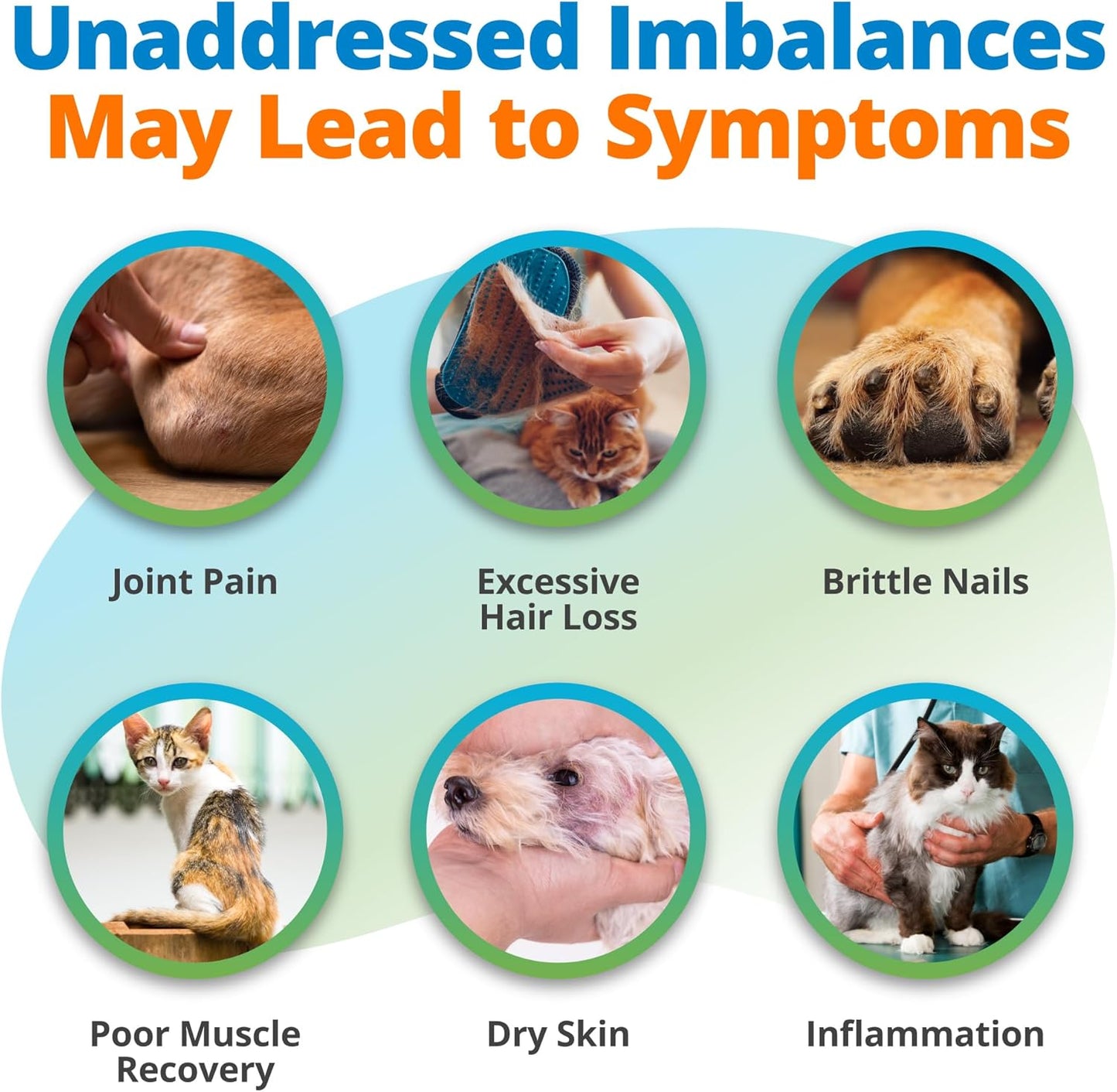 5Strands Pet Nutritional Imbalance Test, 112 Vitamins & Minerals Tested, at Home Dog & Cat Health Check for All Ages & Breeds, Nutrition Deficiency Test, Results in 4 Days