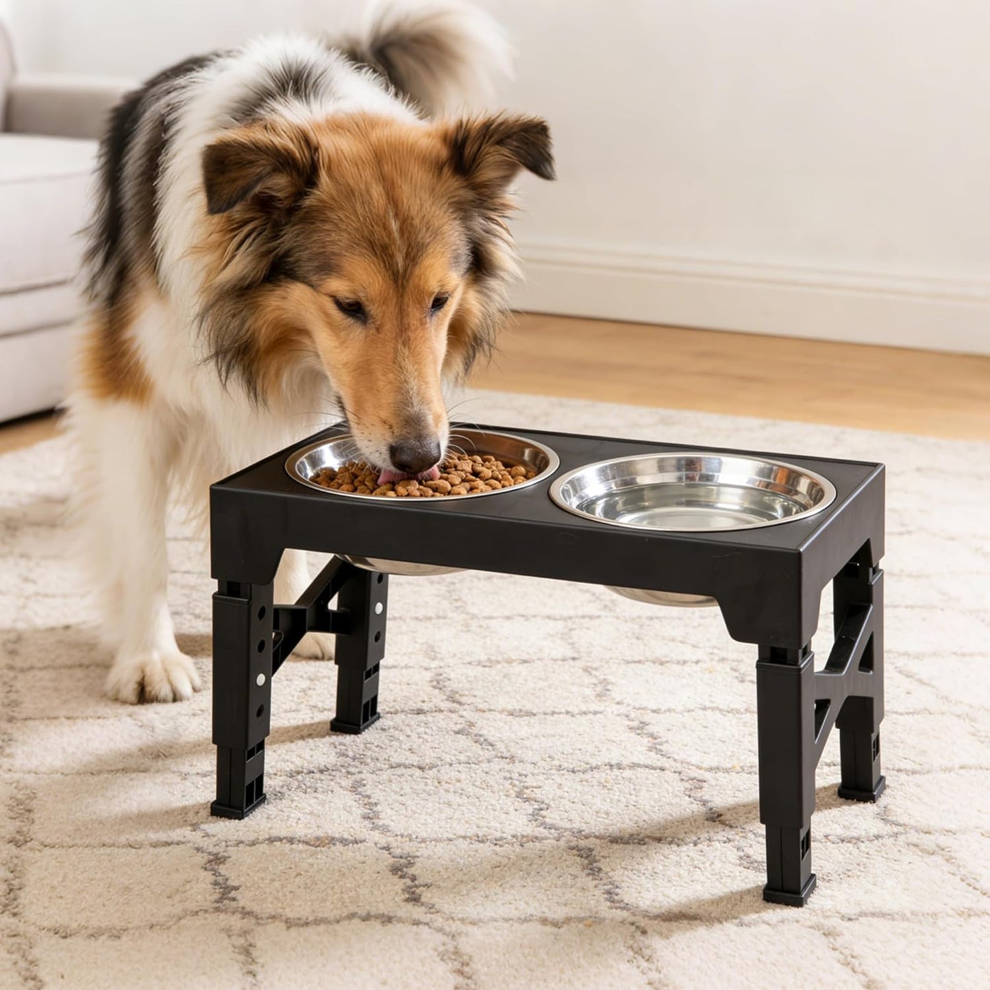 Elevated Dog Bowl Stand, Black, Adjustable Height, Double Stainless Steel Bowls,