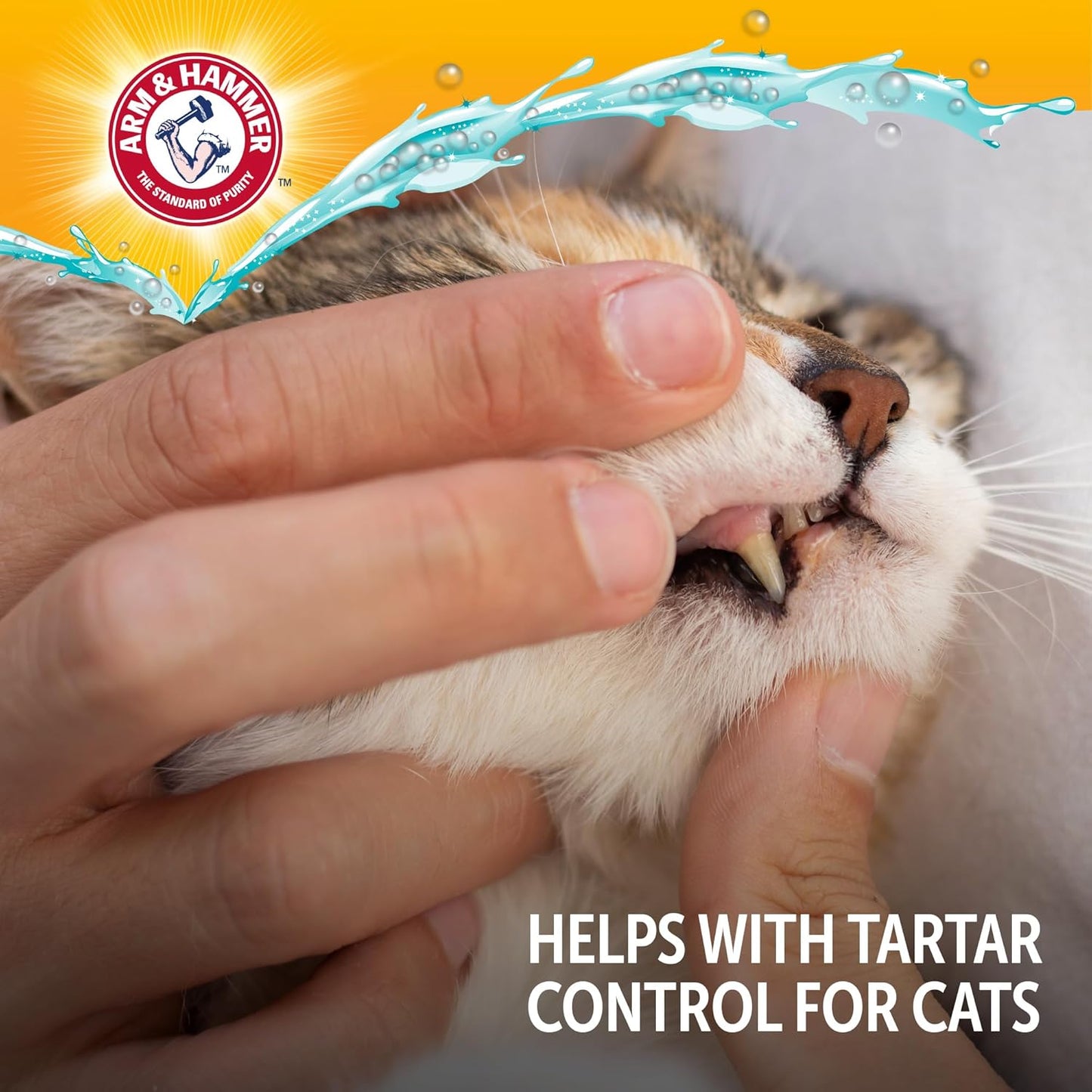 Arm & Hammer Complete Care Dental Water Additive for Cats, Cat Breath Freshener, Cat Mouth Wash or Dental Rinse, Simply Add to Pet Drinking Water for Fresher Breath, Value Size 8 FL OZ - 6 Pack
