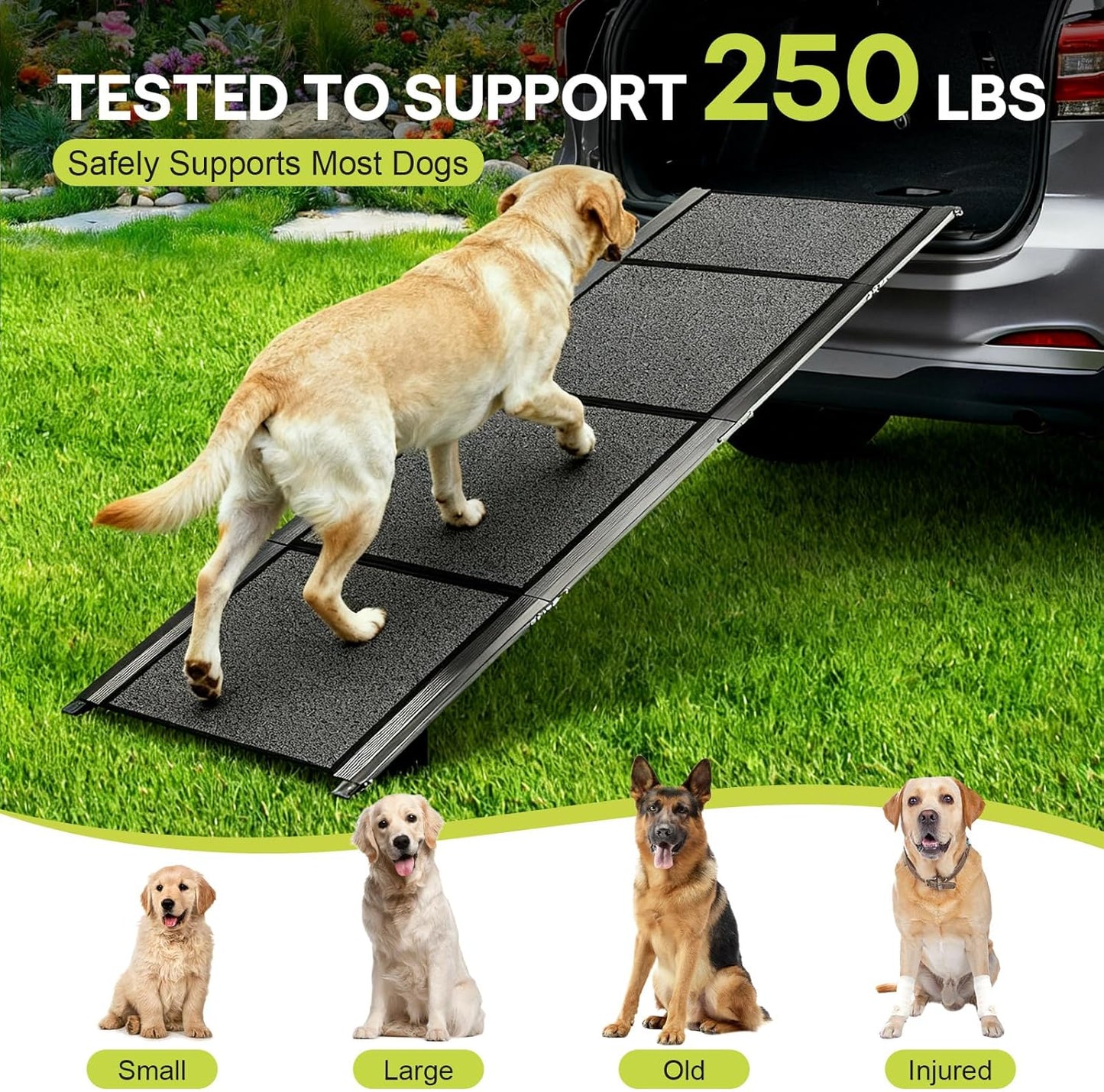 Lightweight Aluminum Dog Ramp for Women & Seniors - 67" Folding Car Ramp for Large Dogs to 250lbs | Portable Pet Ramp with Non-Slip Surface for Safe SUV, Truck Entry & Joint Care for Senior Pets