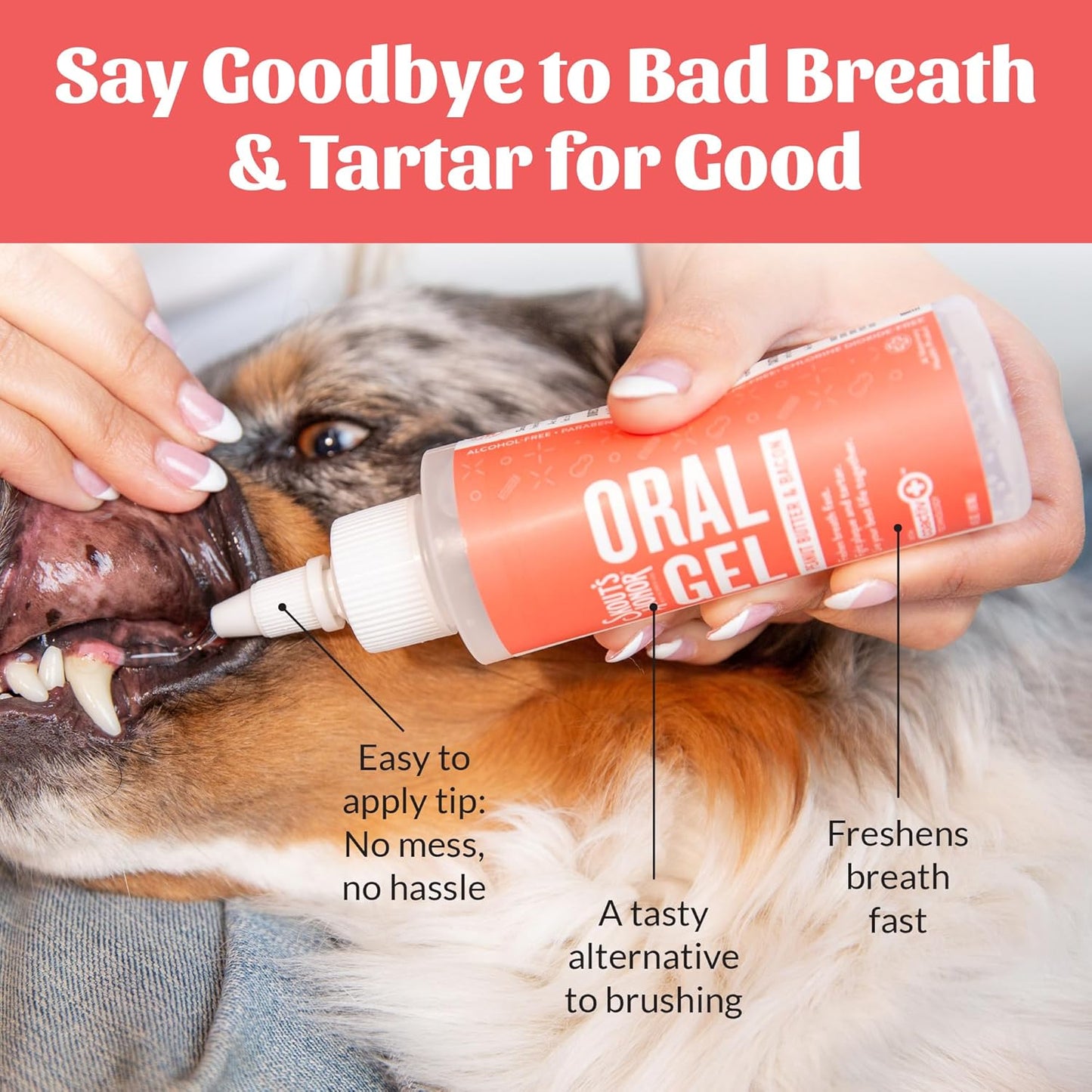 SKOUT'S HONOR Fresher Breath Peanut Butter & Bacon Oral Gel - Fights Plaque and Tartar, Freshens Breath Fast, No Brushing Required, 4 oz, 2-Pack