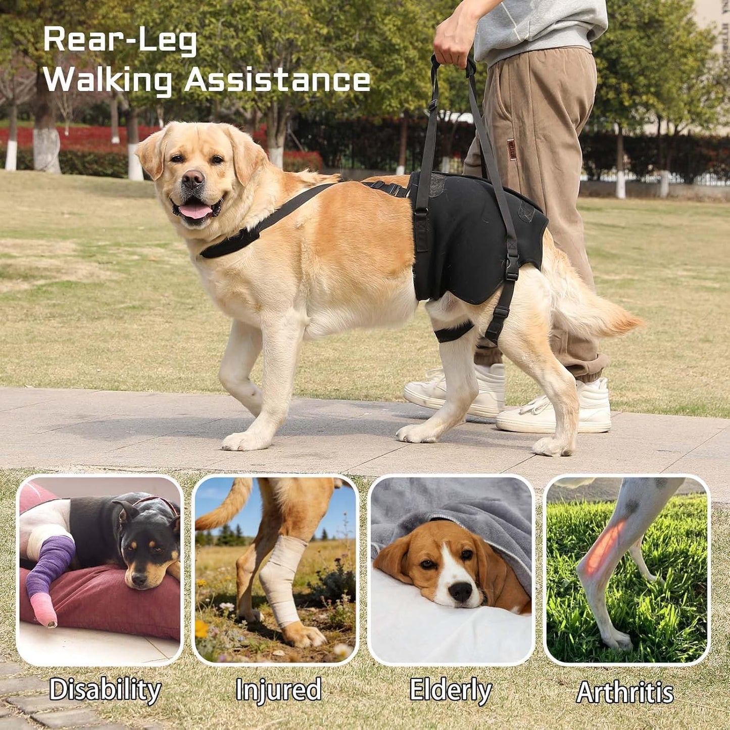 NOYAL Supet Dog Lift Sling for Large Dogs – Hind Leg Support Harness for Senior, Injured, Disabled Dogs, Rear Leg Mobility Aid, Padded Handle for Stairs, Car, Walk