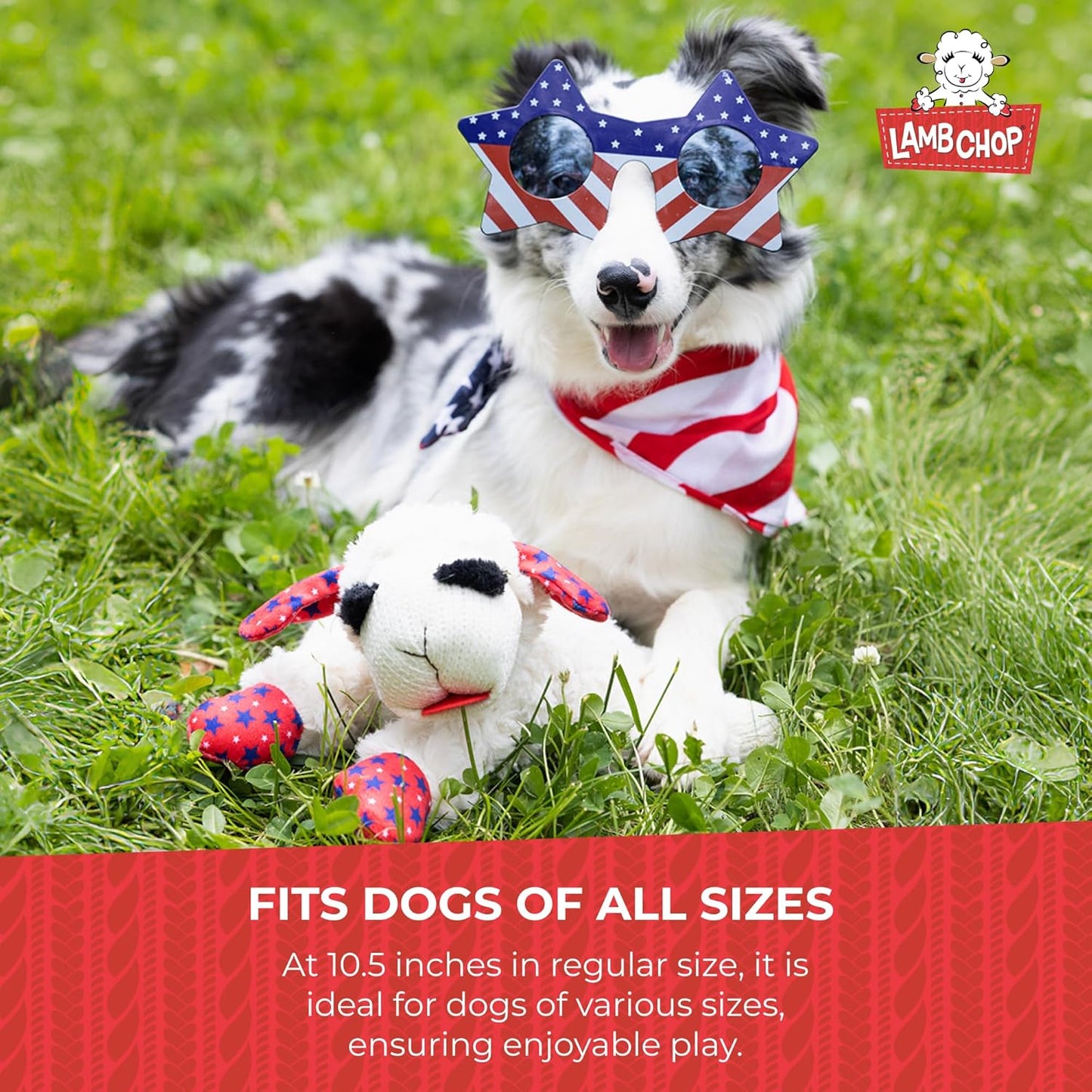 Multipet Lamb Chop Easter Dog Toy | Plush Dog Toy | Squeaker Dogs Toys |10" | White | Officially Licensed