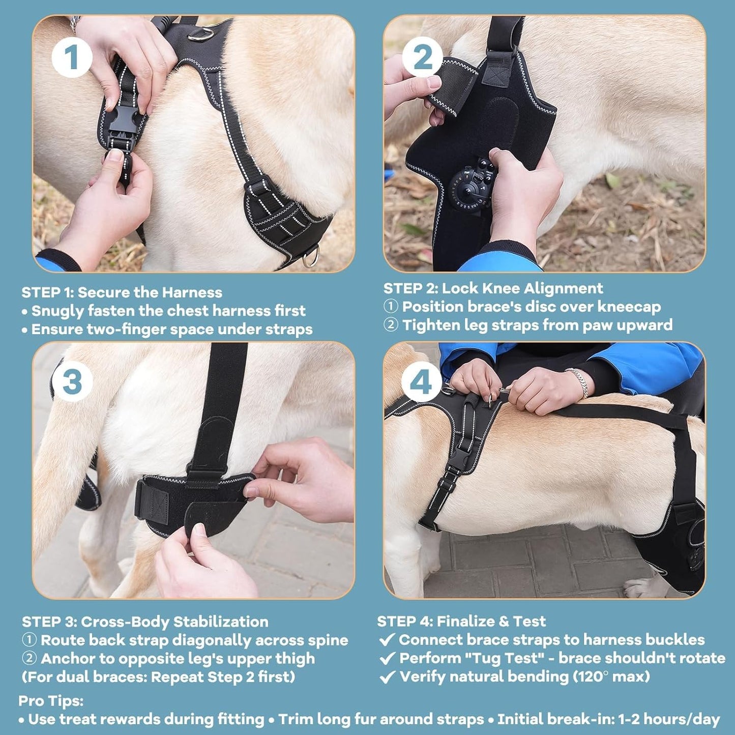 Dog Knee Brace with Adjustable Support – ACL & CCL Tear Recovery, Post-Surgery Stabilization, Mobility Aid for Rear Legs – Includes Secure Chest Harness for Dogs(Left,M)