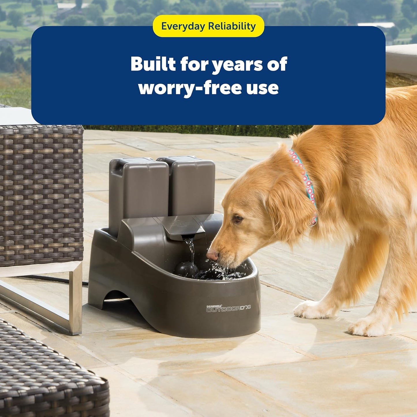 PetSafe Drinkwell Replacement Pump - Reliable OEM Replacement - Drinkwell Pump Accessory - Includes Power Adaptor - Silent Operation for a Calm Pet Environment - Easy to Clean