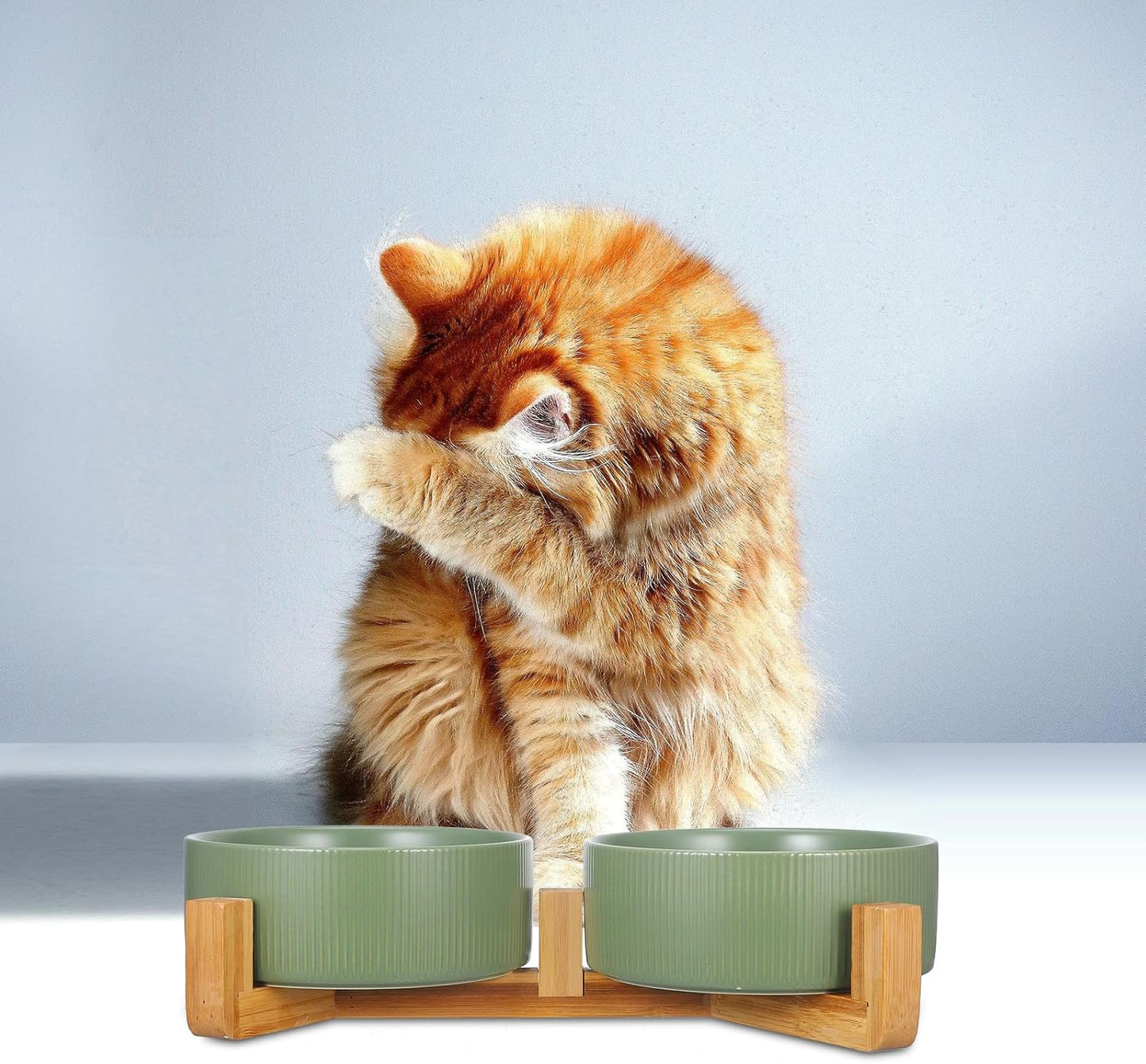 Milisten Ceramic Elevated Cat Feeder with Wooden Stand, 2-Bowl Raised Pet Food and Water Dish, Non-Spill Matte Green Indoor Dog and Cat Bowl Set