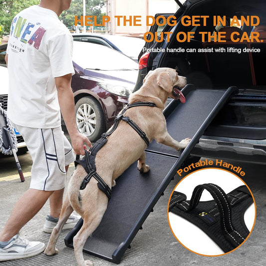 COODEO Professional Dog Sling for Hind Leg Support - Aid for Post-ACL/TPLO Surgery & Senior Dogs, Secure,Breathable & Machine-Washable with Reflective Edging for Safe Walks (Black, L)